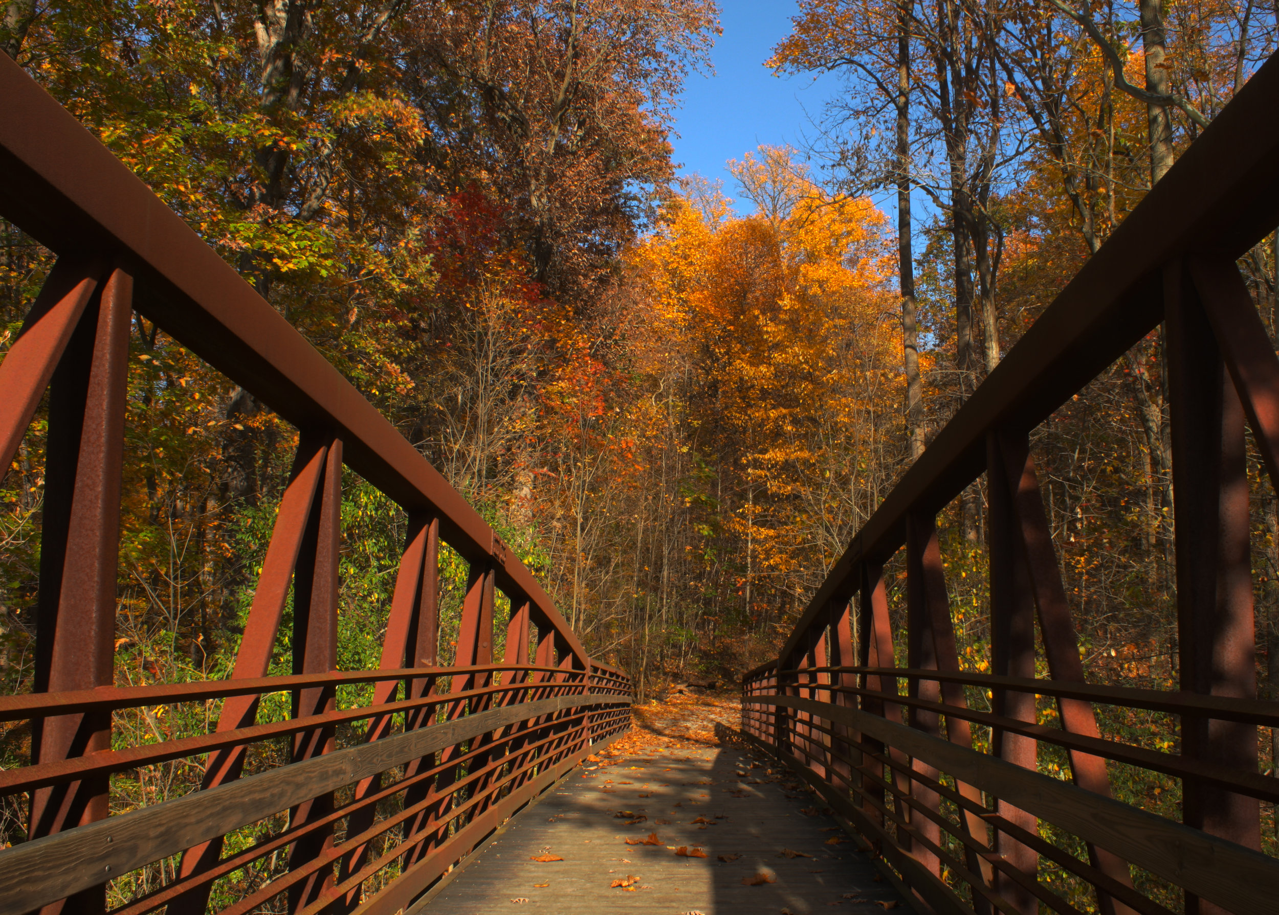 Autumn colors over the pedestrian walking bridge at Sheldon Woods