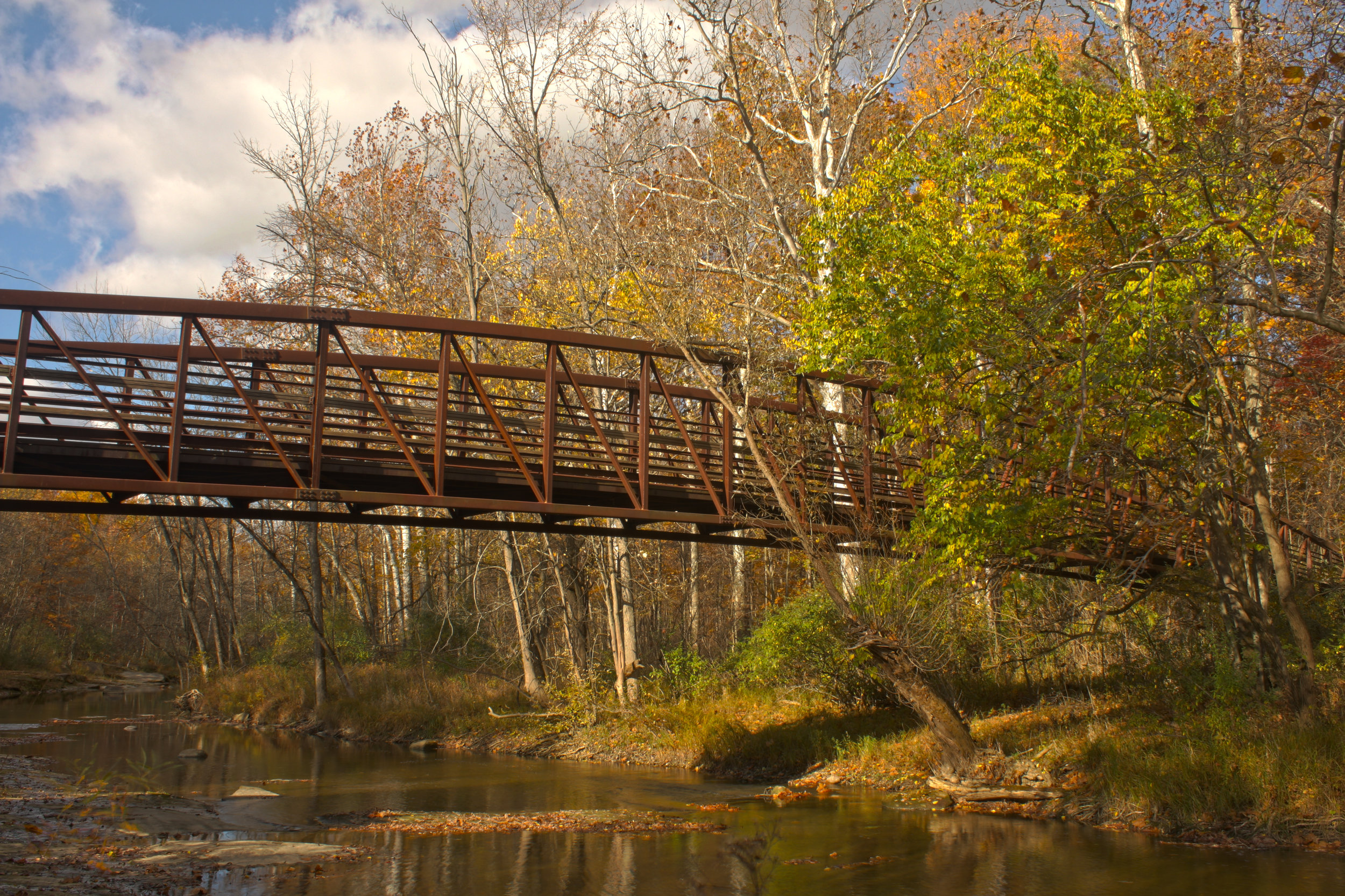 Pedestrian bridge over the East Branch Black River at Sheldon Woods
