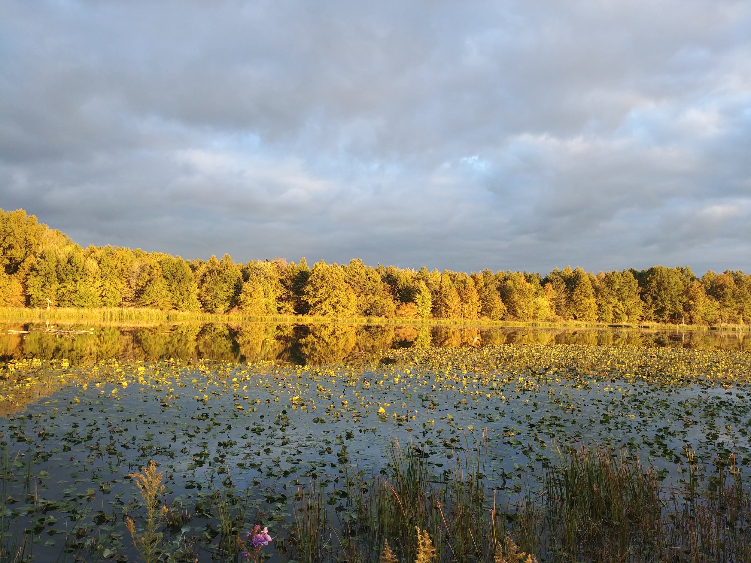 Autumn scene over the wetlands of Sandy Ridge Reservation