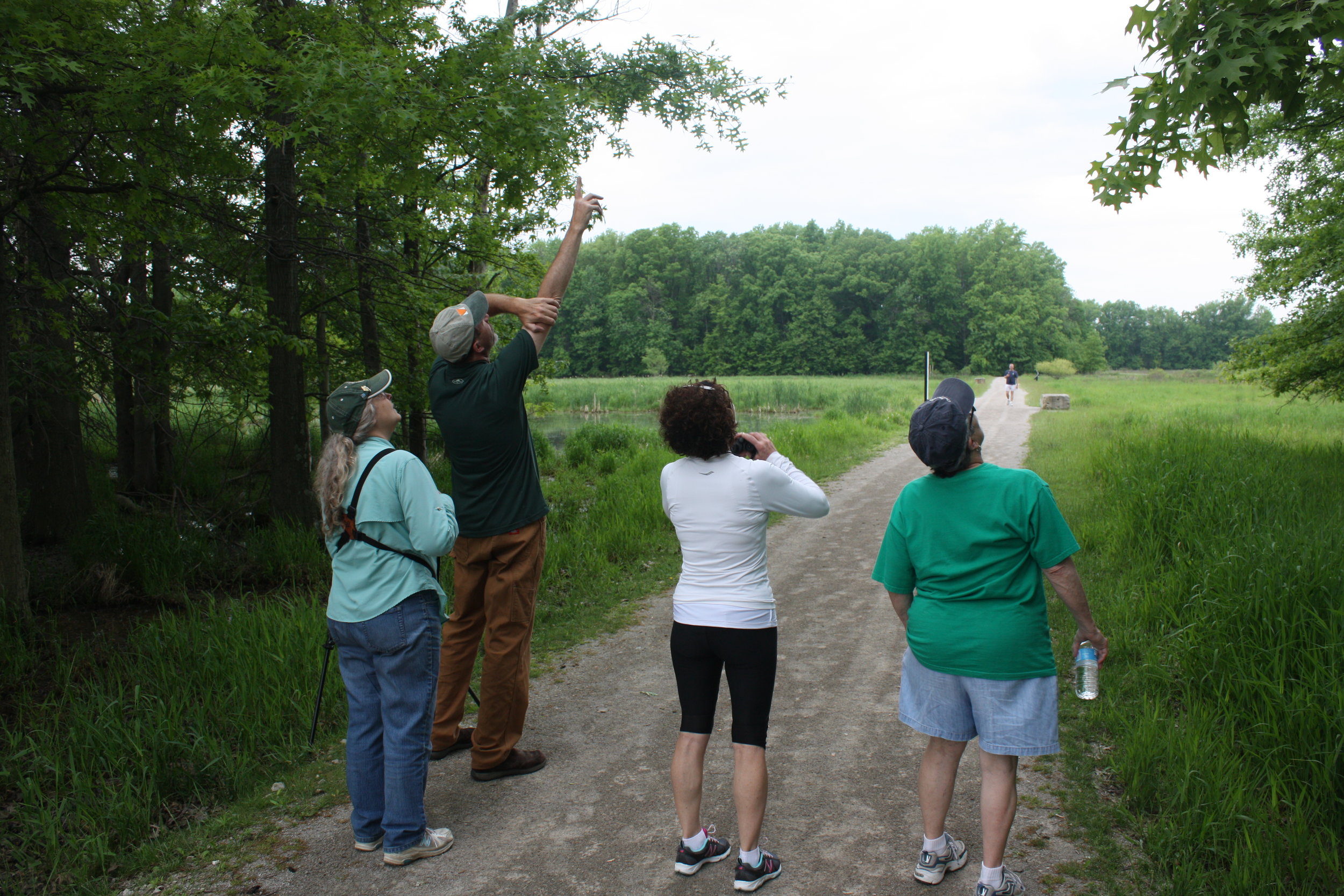 Birdwatching program along the Marsh Loop trail