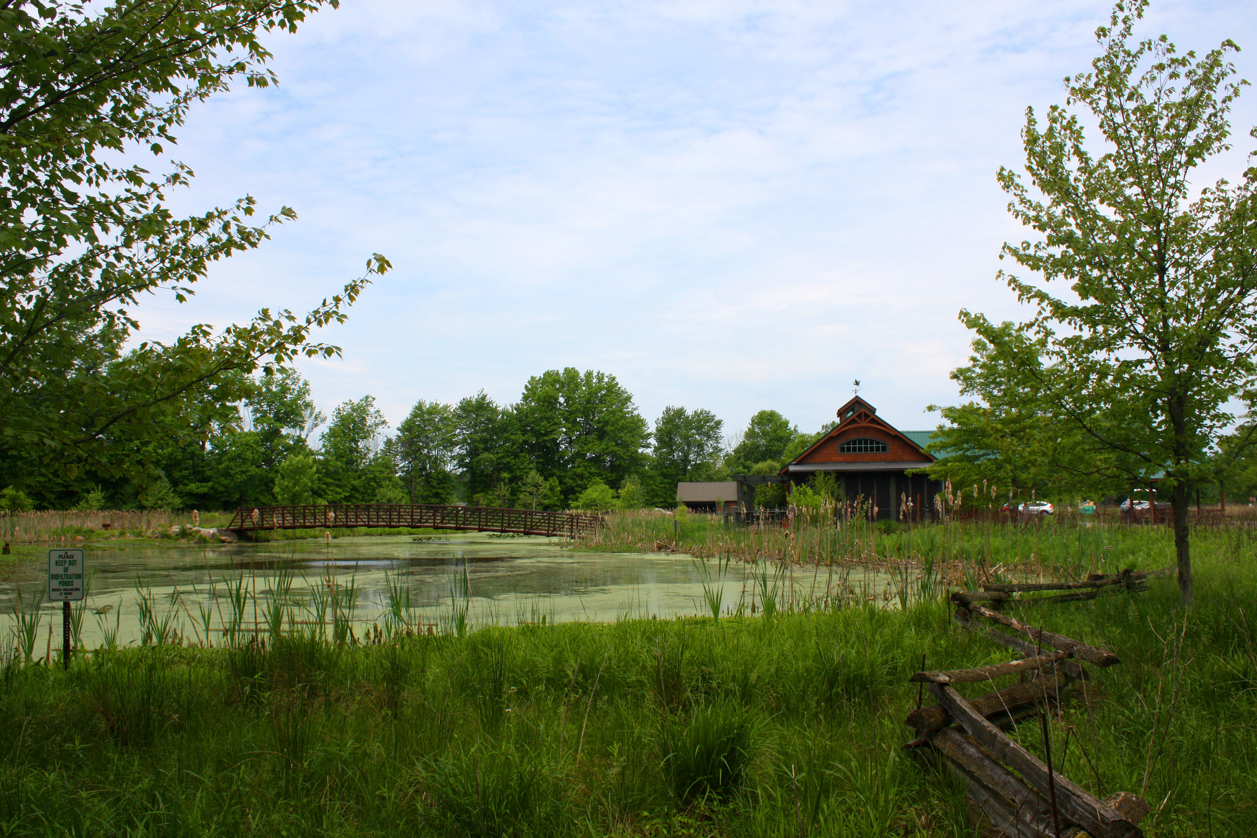 Pedestrian bridge and pond located just outside of the Perry F. Johnson Wetland Center
