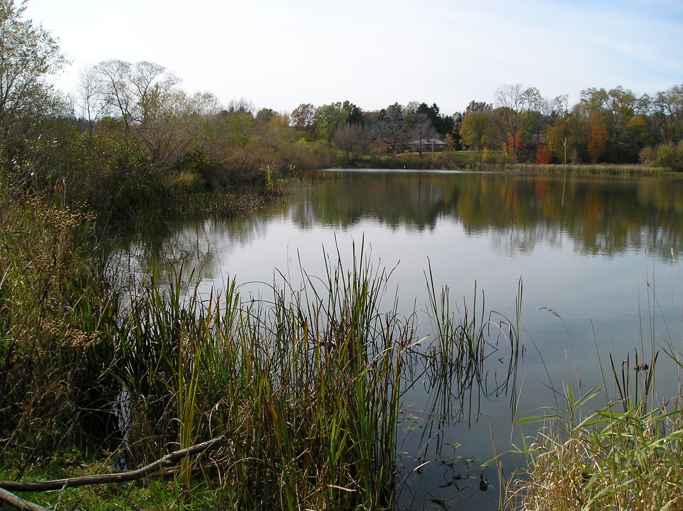 View of Hitchcock Lake from viewing platform