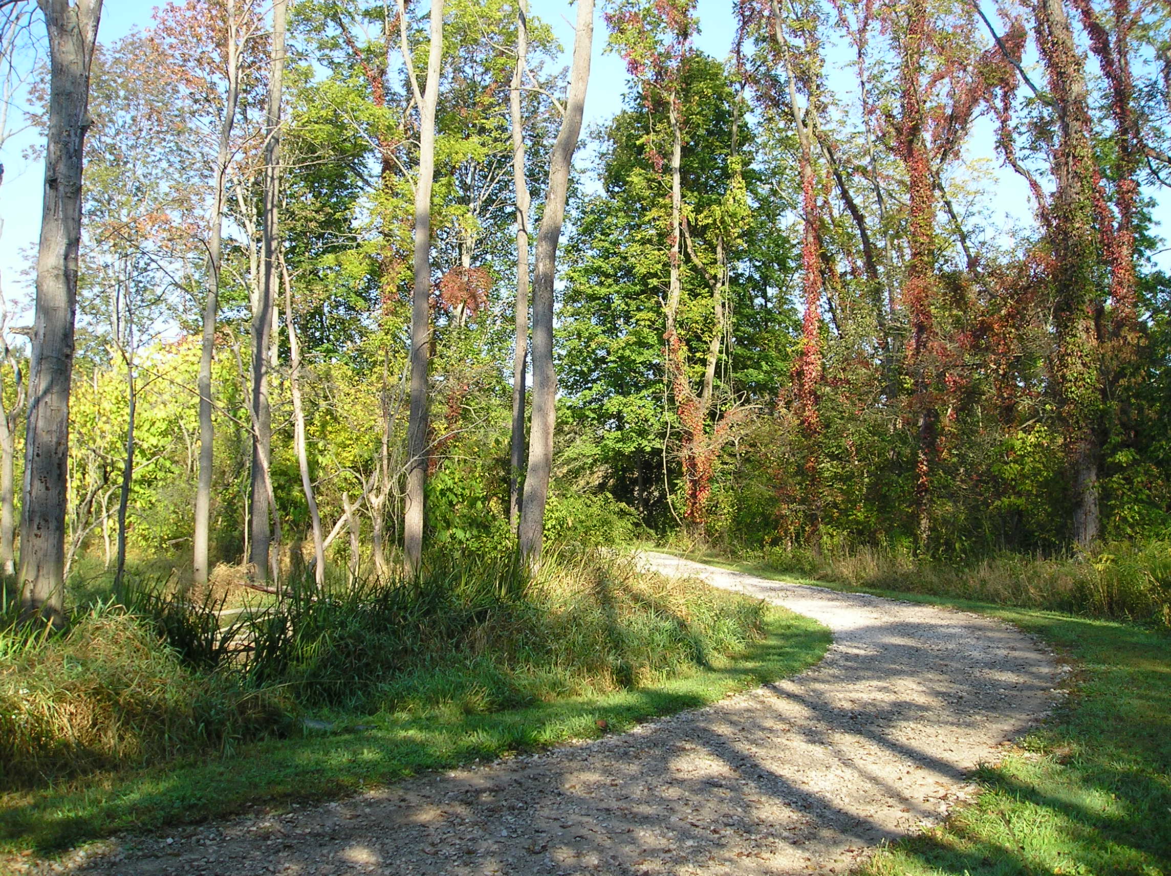 Gravel walking path on the Black Cherry Trail