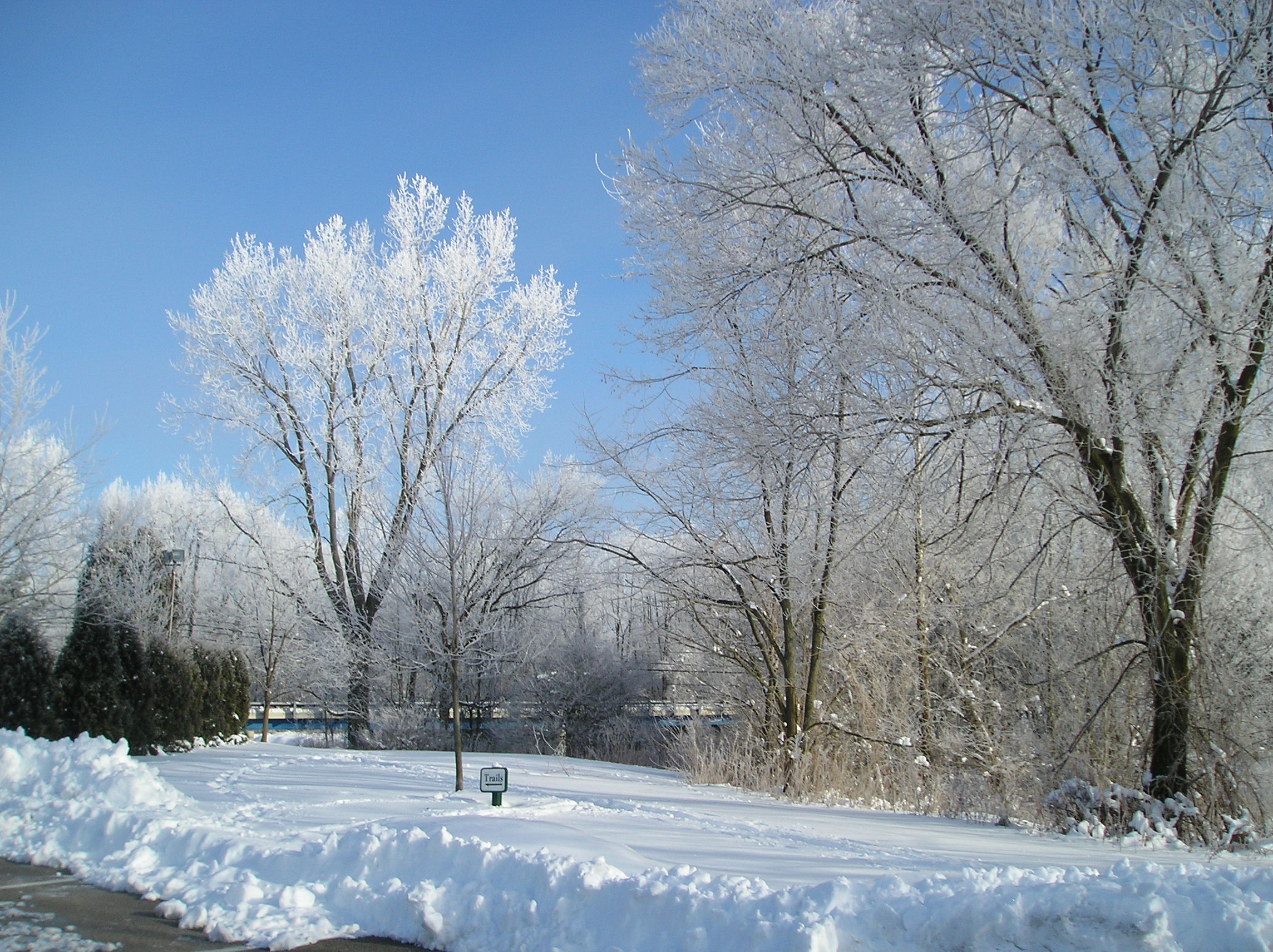 Winter scene along the asphalt Connector Trail