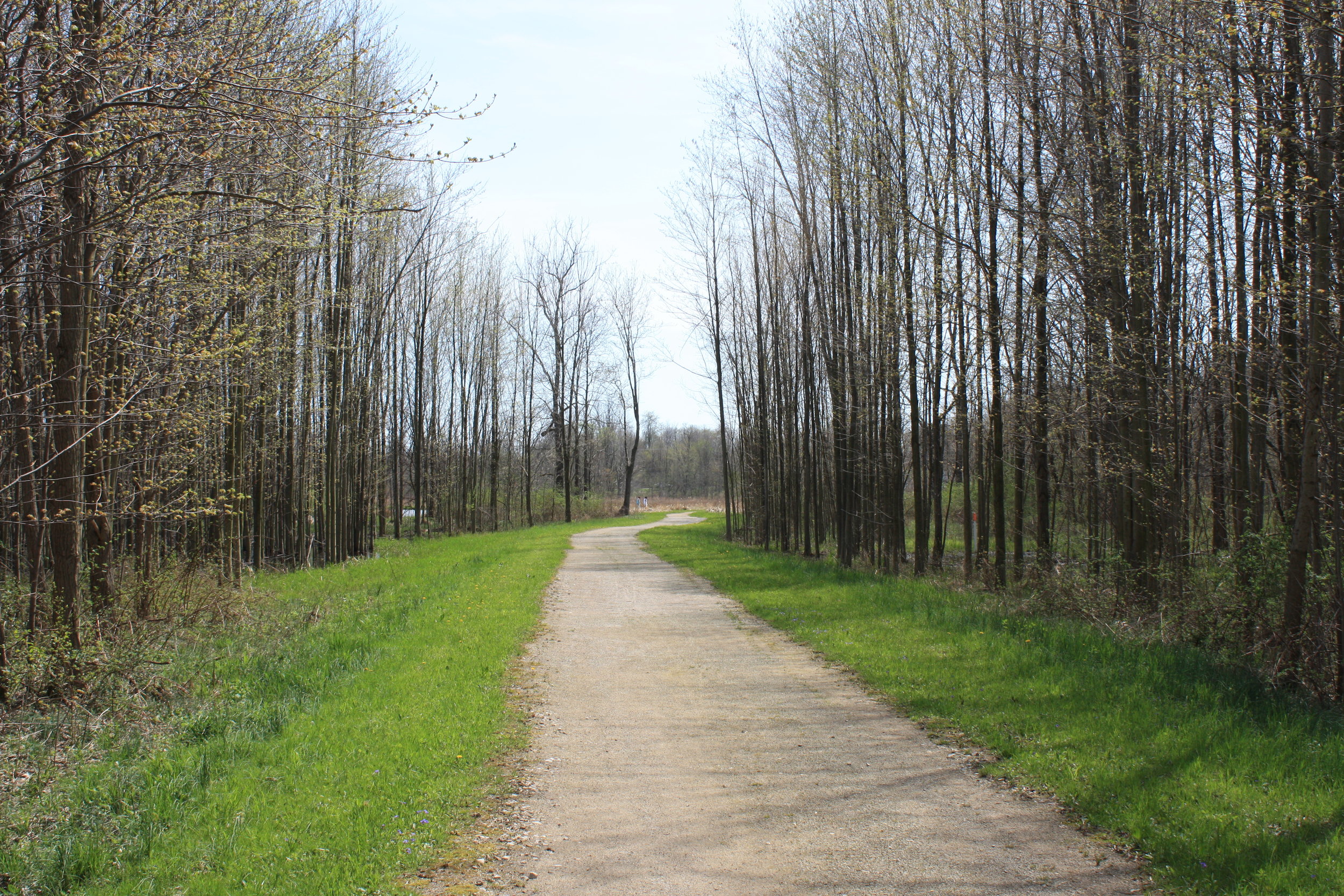 View along the Briarwood Trail