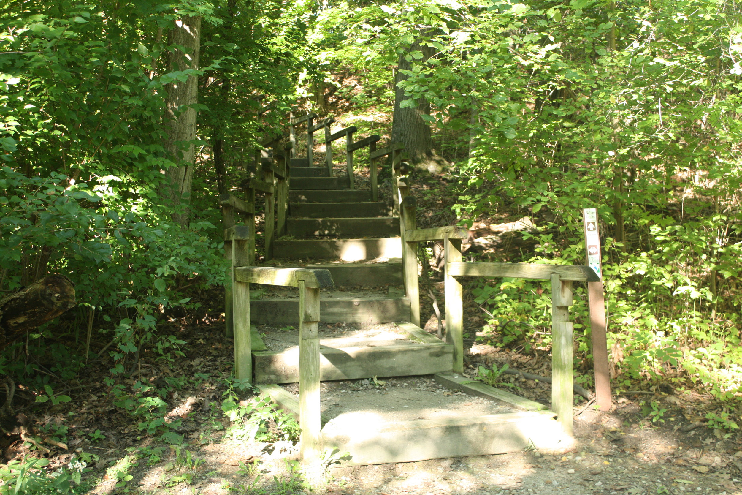 Wooden steps on the Nature Center Trail