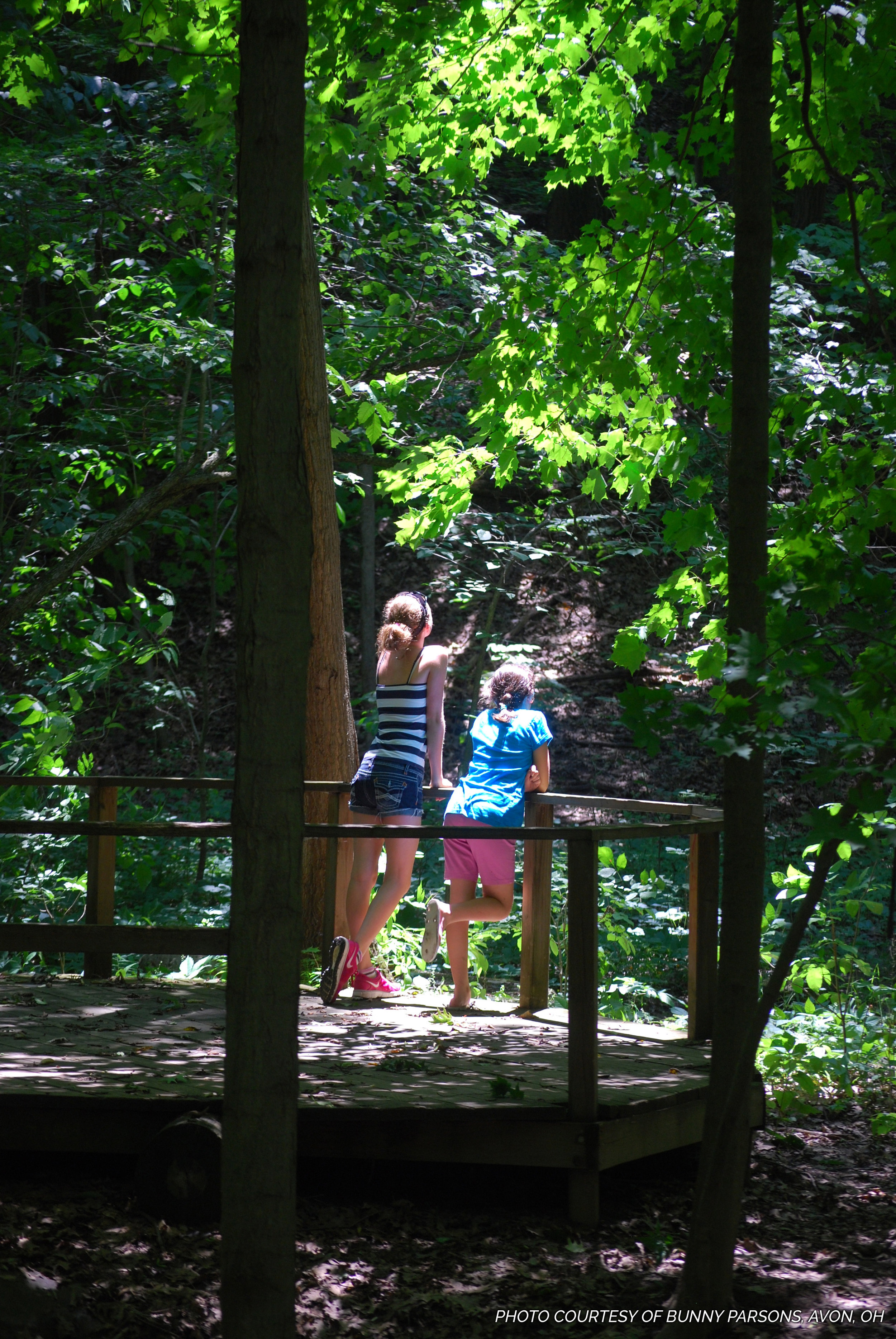 Children admiring nature on the Big Woods Trail