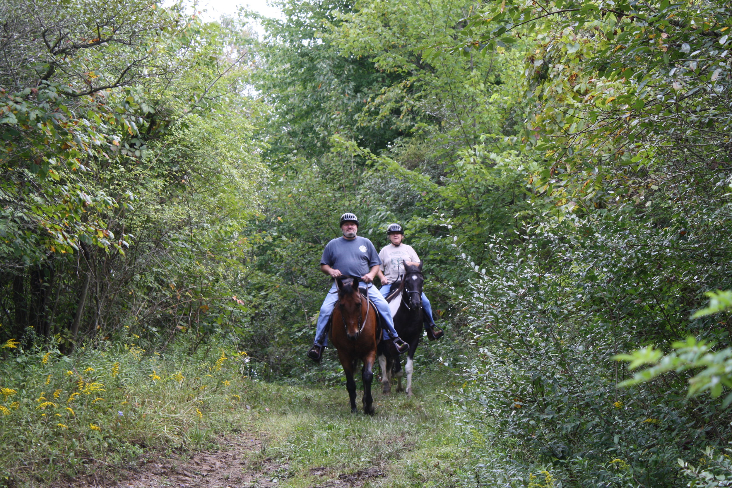 Horseback riders along the trail