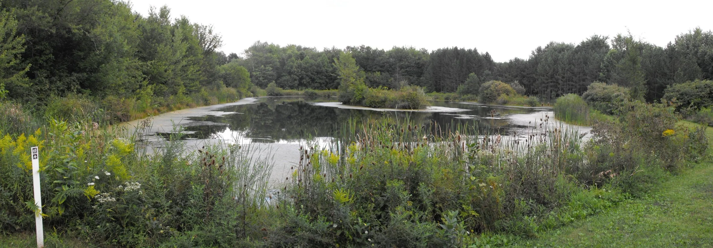 front pond.JPG
