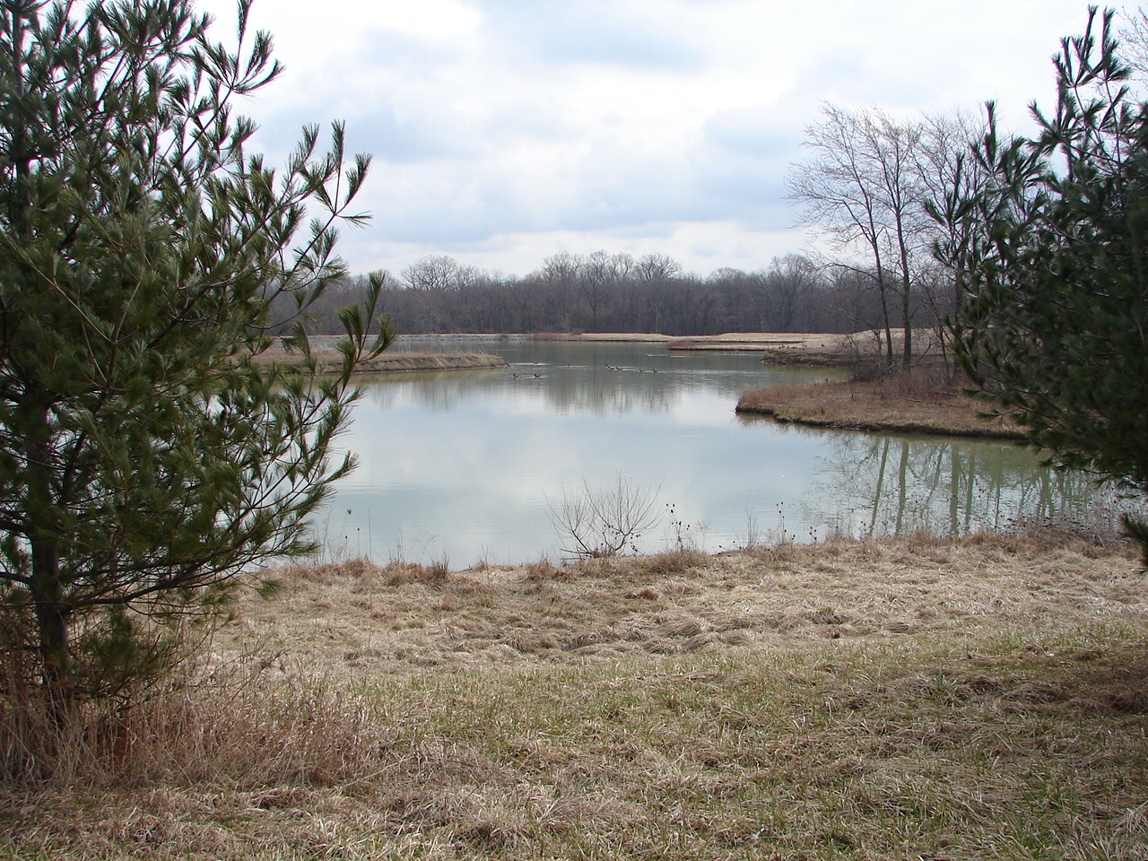 Winter season at Caley Reservation's natural pond