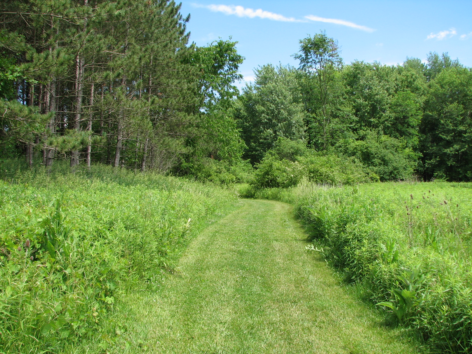 Caley Reservation's natural grass hiking trail