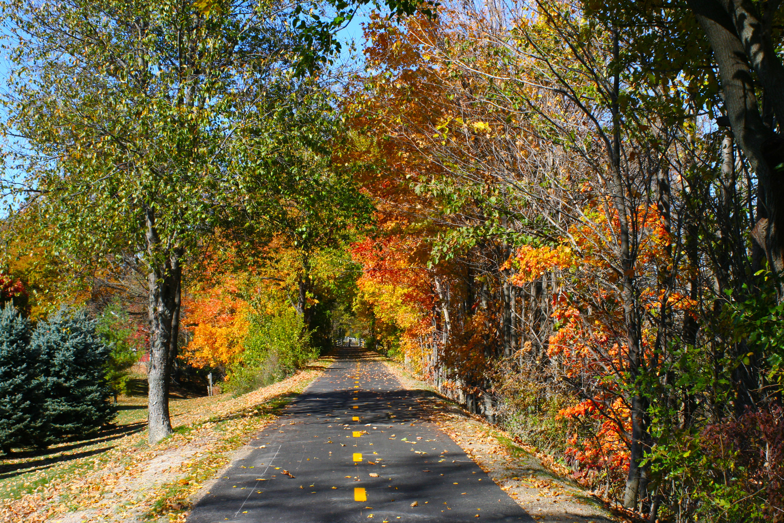North Coast Inland Trail (NCIT) in autumn