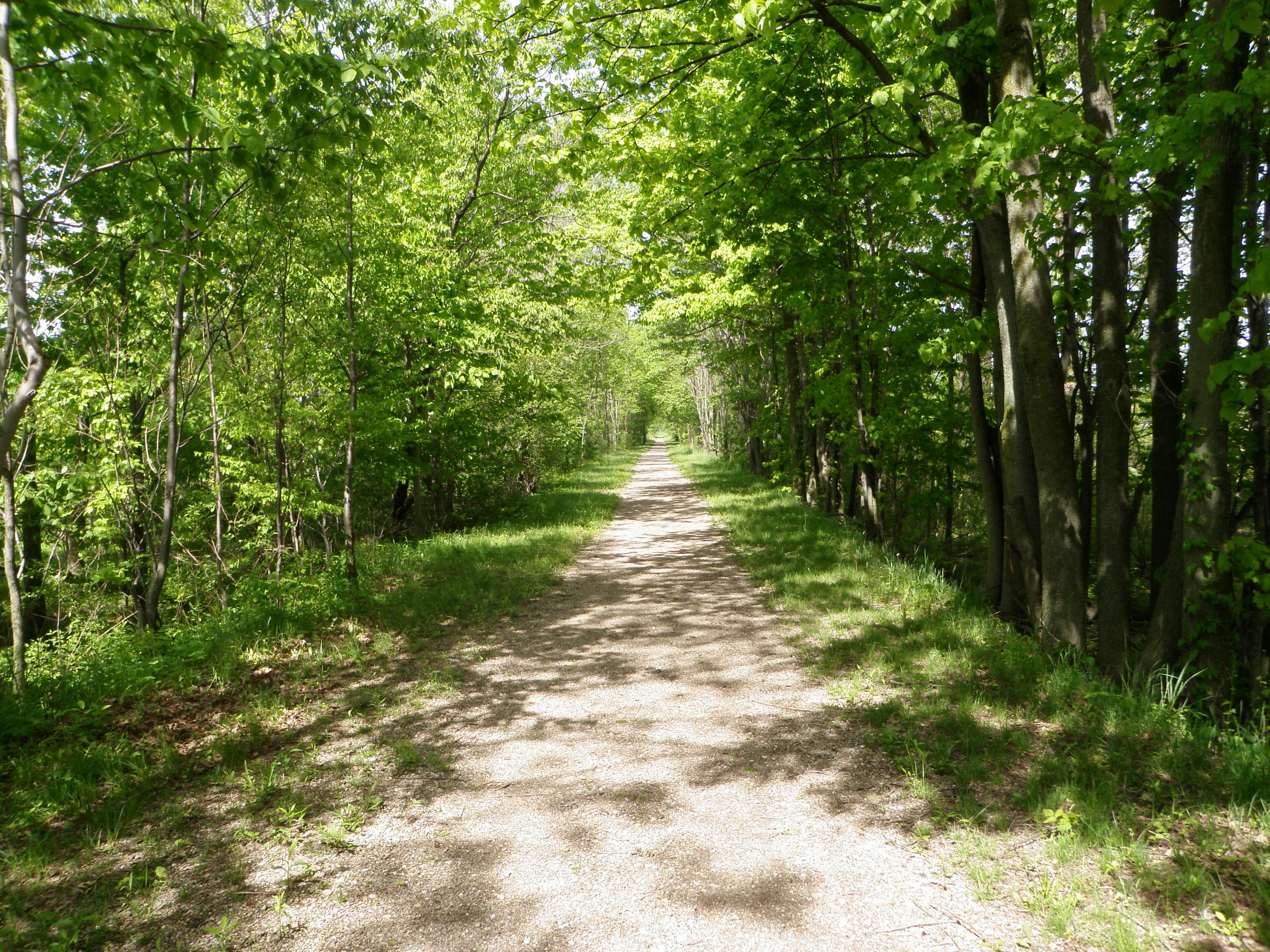 NCIT trail west of Derussey Rd. in Huron County