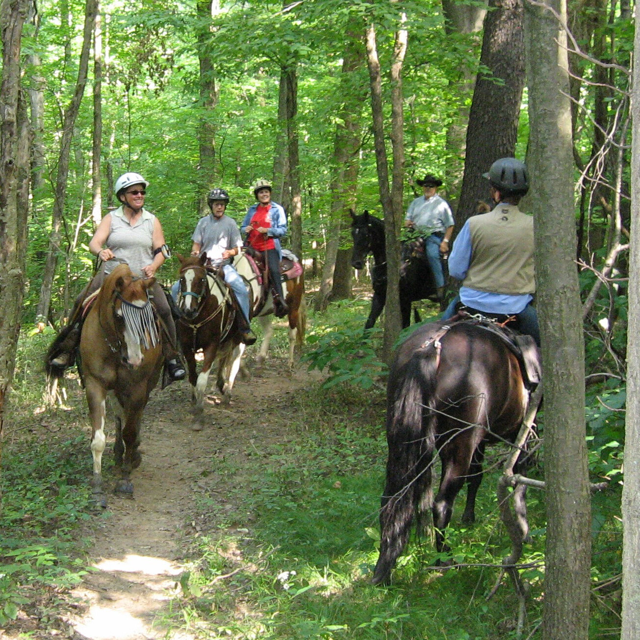 Horseback riders on the trail at Kipton Reservation