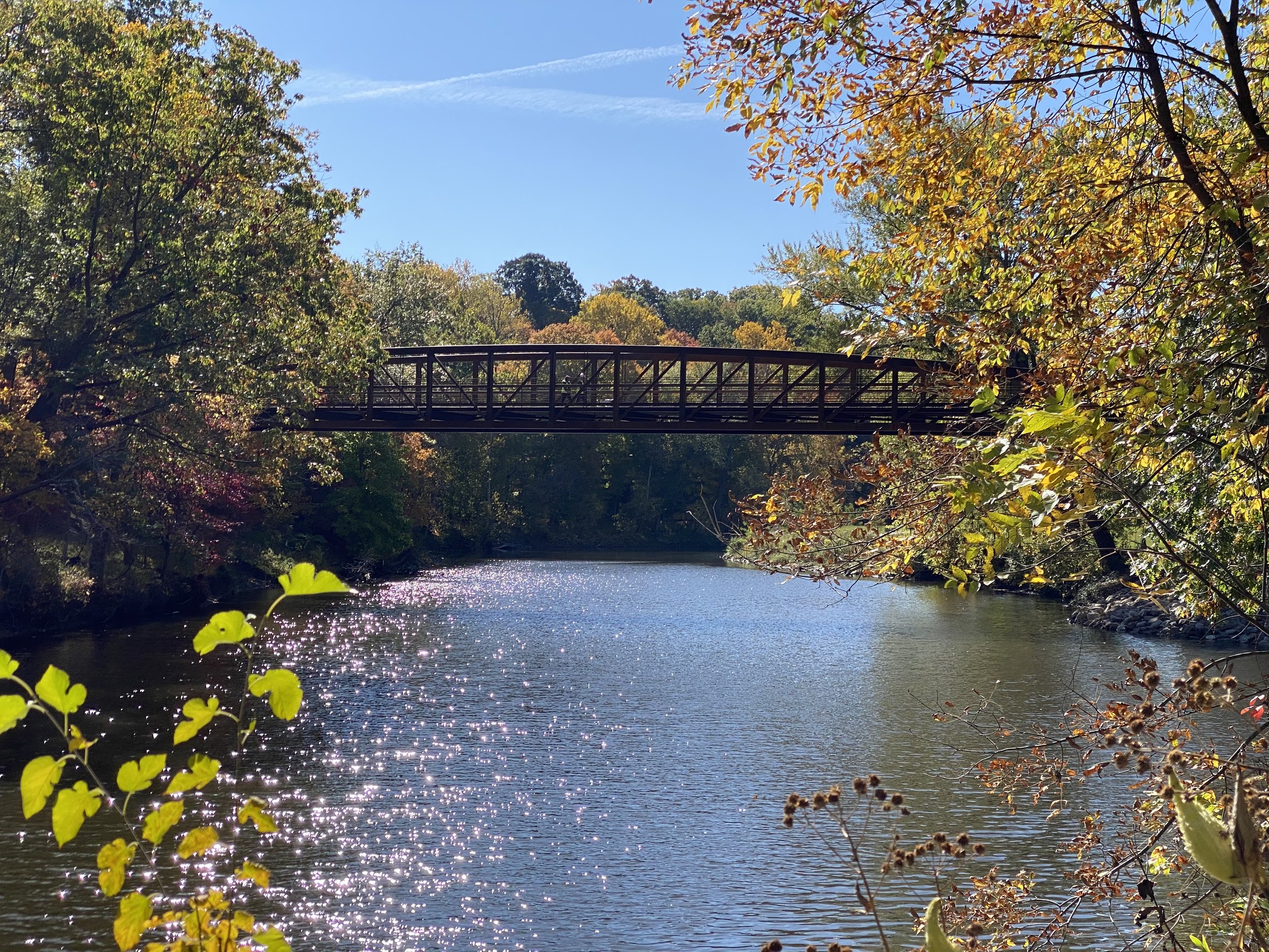 Installed in 2020, Cascade Park's newest bridge connects the main section of Cascade Park to the Elywood section