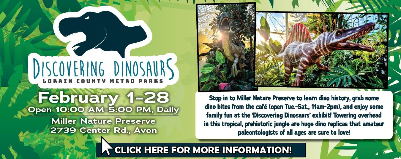 Discovering Dinosaurs