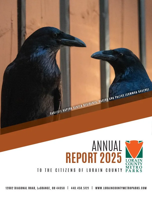 2025 Annual Report