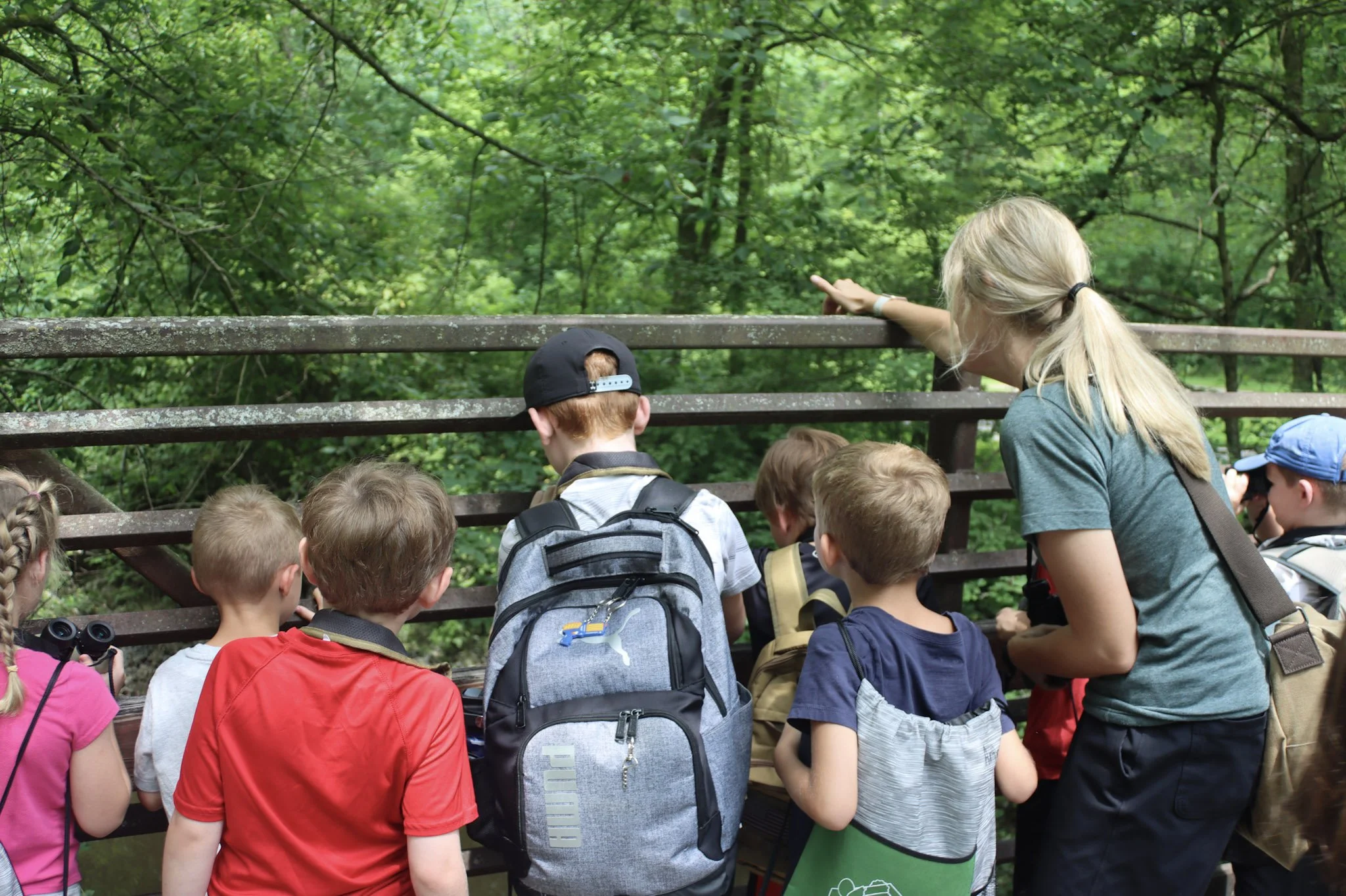 Campers exploring a creek habitat at Jr. Wild Wonders Camp