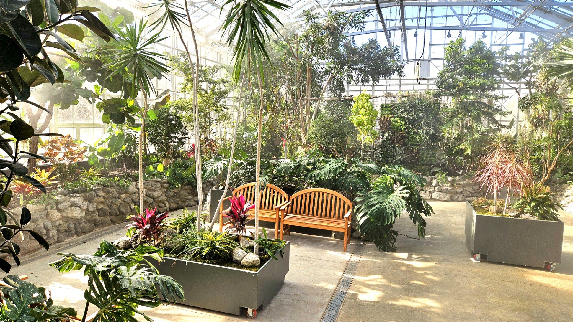 Interior of Miller Nature Preserve's Conservatory