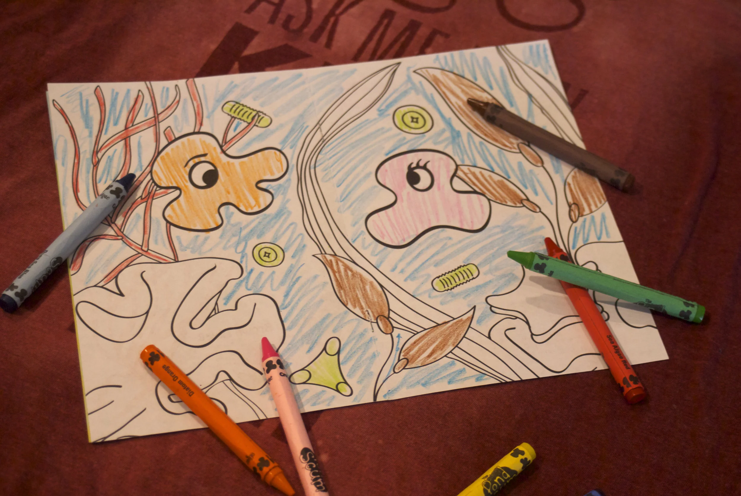 Coloring/Activity books and sets of crayons are given to students, encouraging them to participate and engage in the lecture.