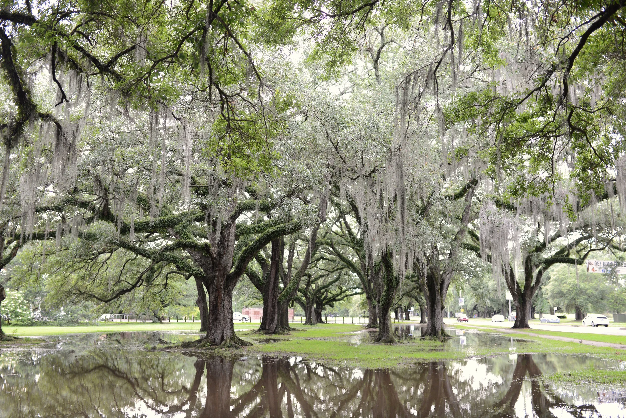 Audubon Park