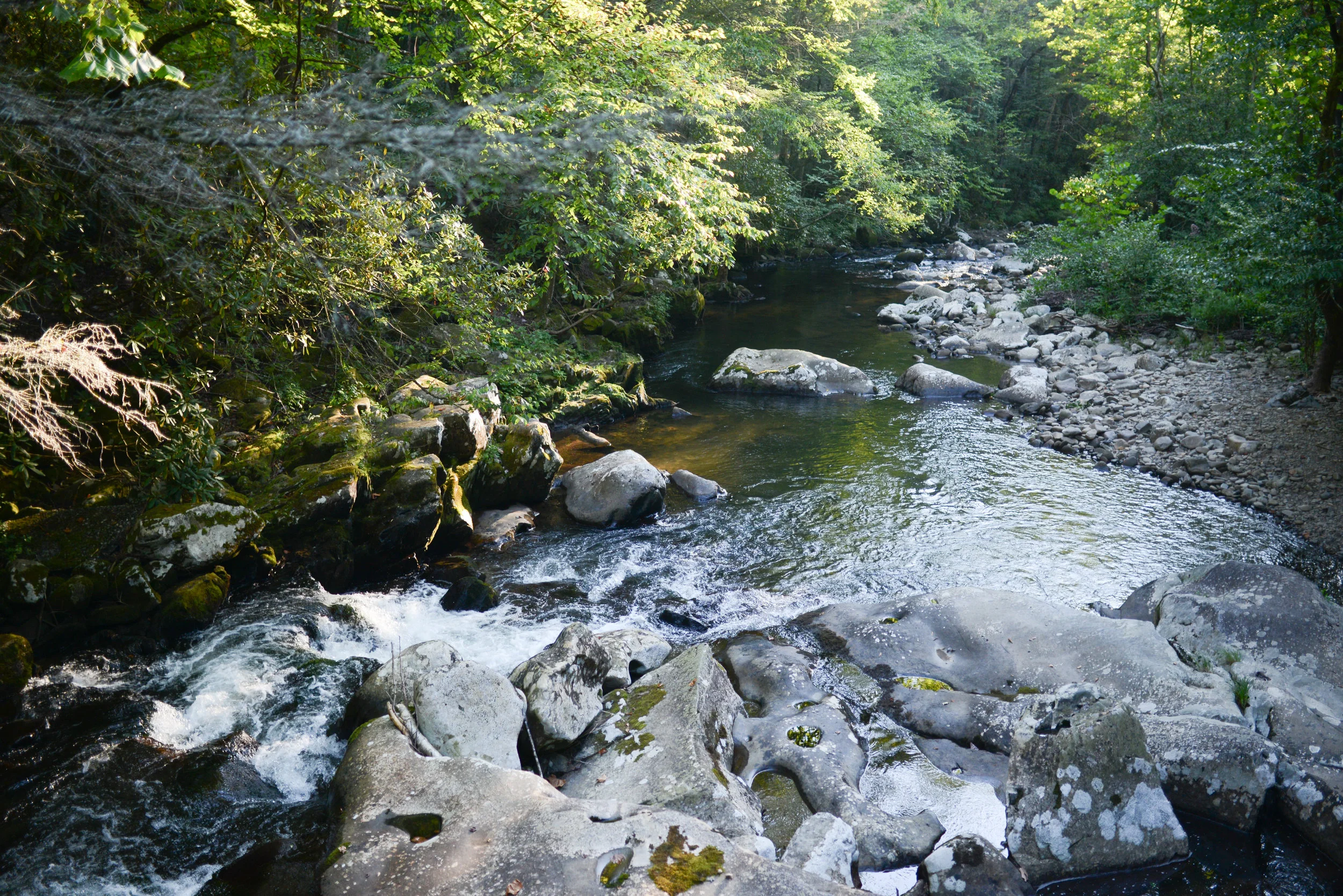 Chattahoochee National Forest, TN