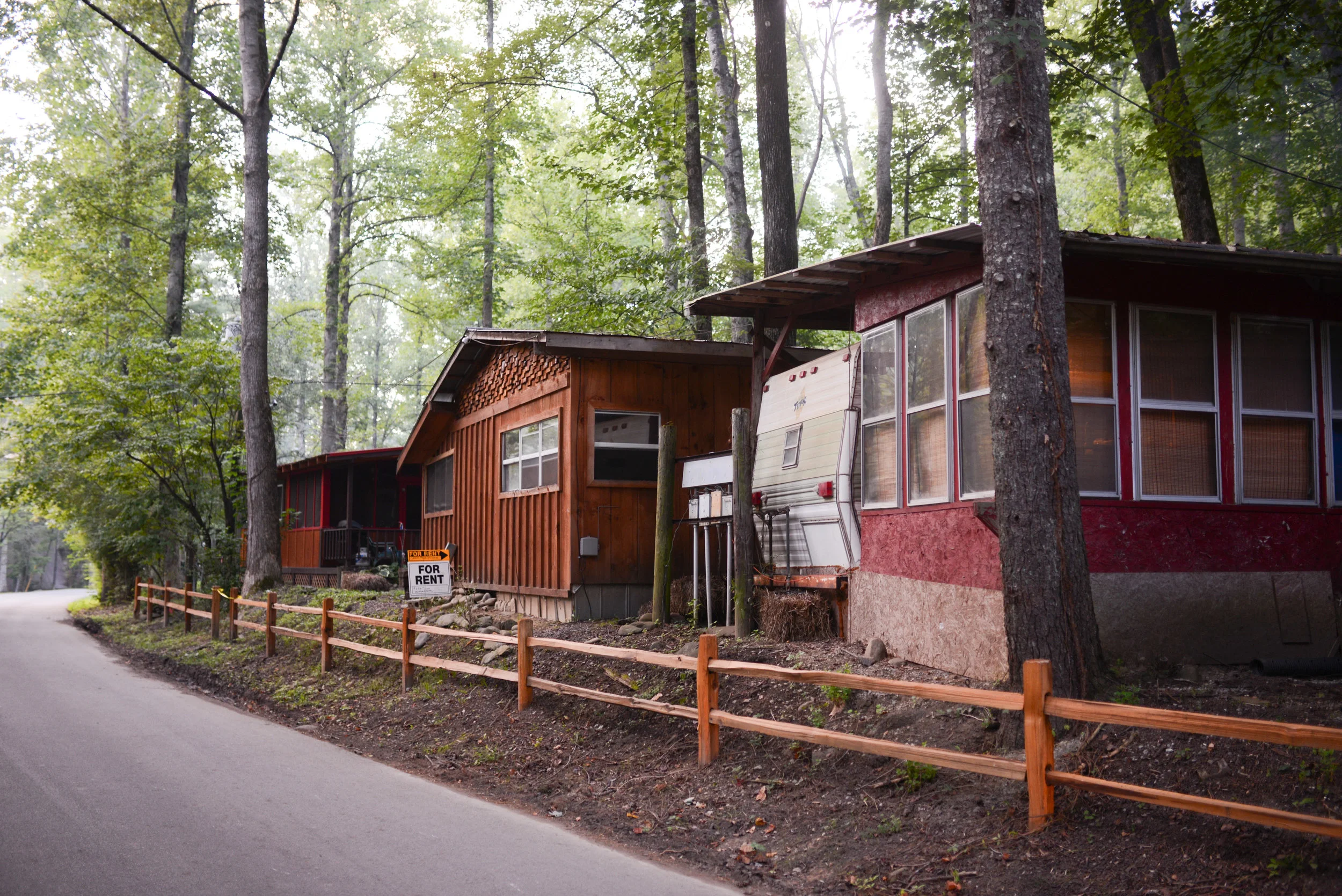 Chattahoochee National Forest, TN