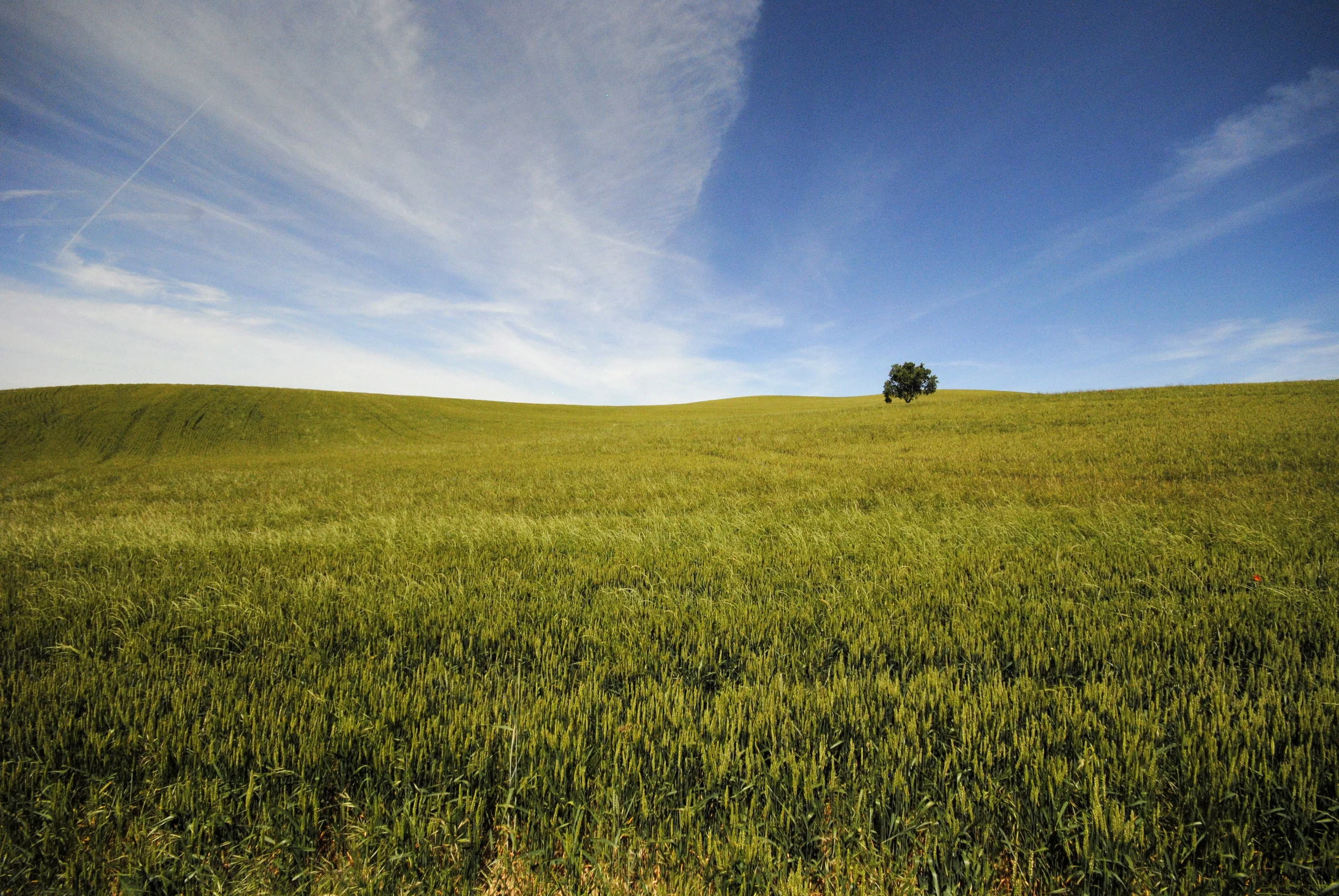 El Camino de Santiago, Spain