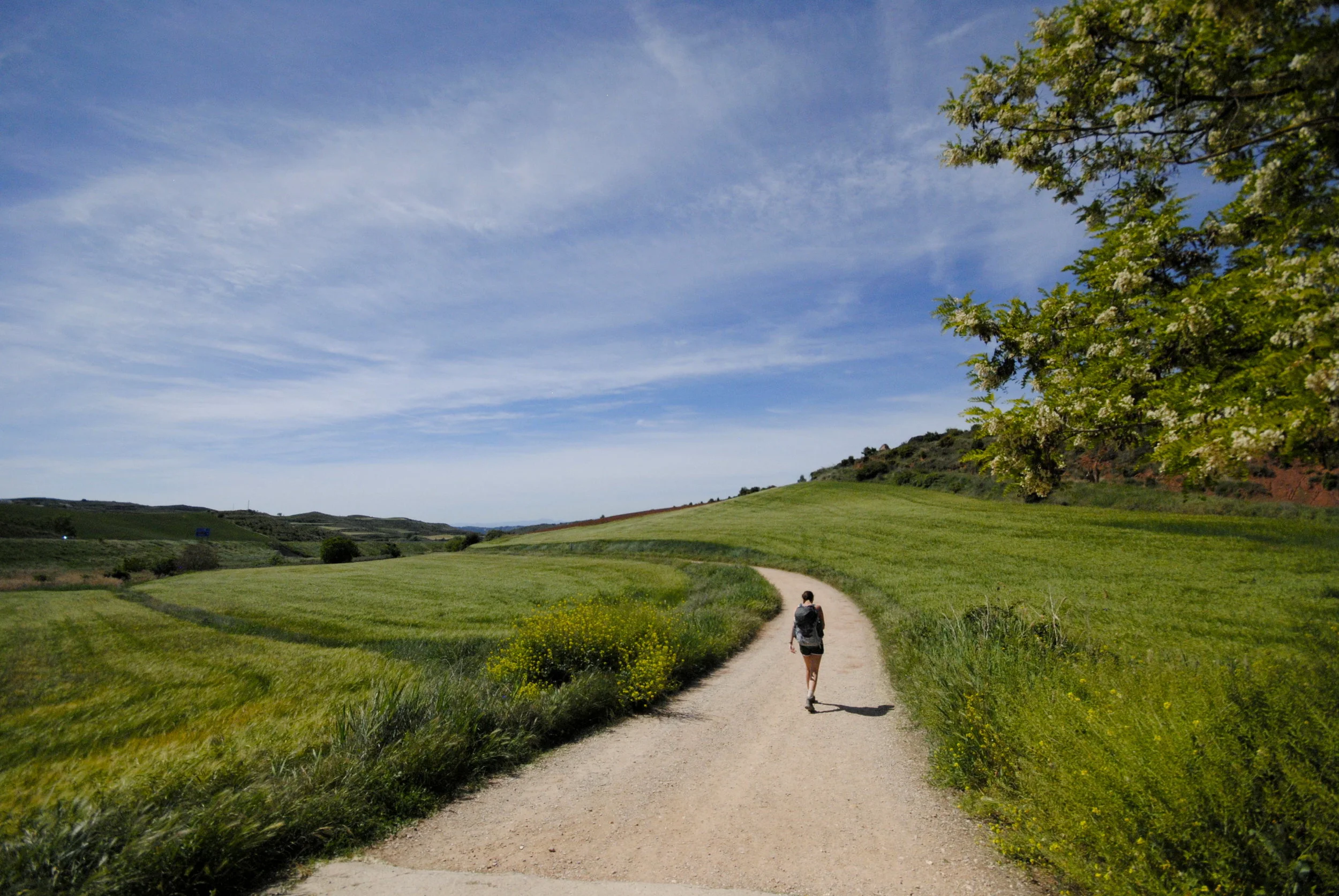 El Camino de Santiago, Spain