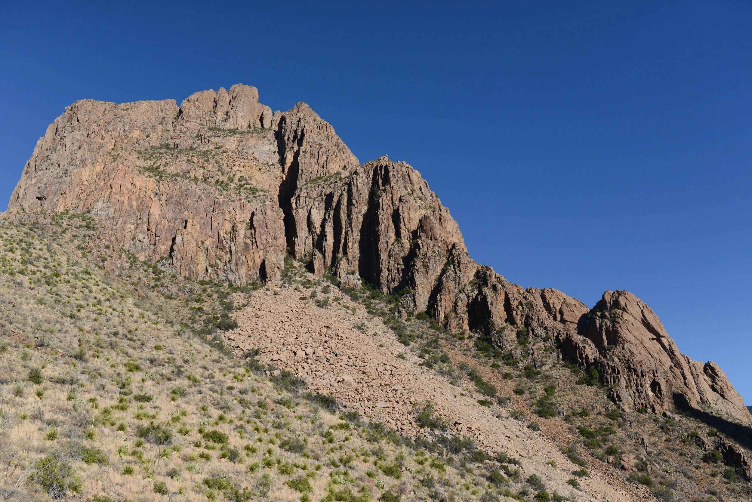 DSC_8302-1.jpg