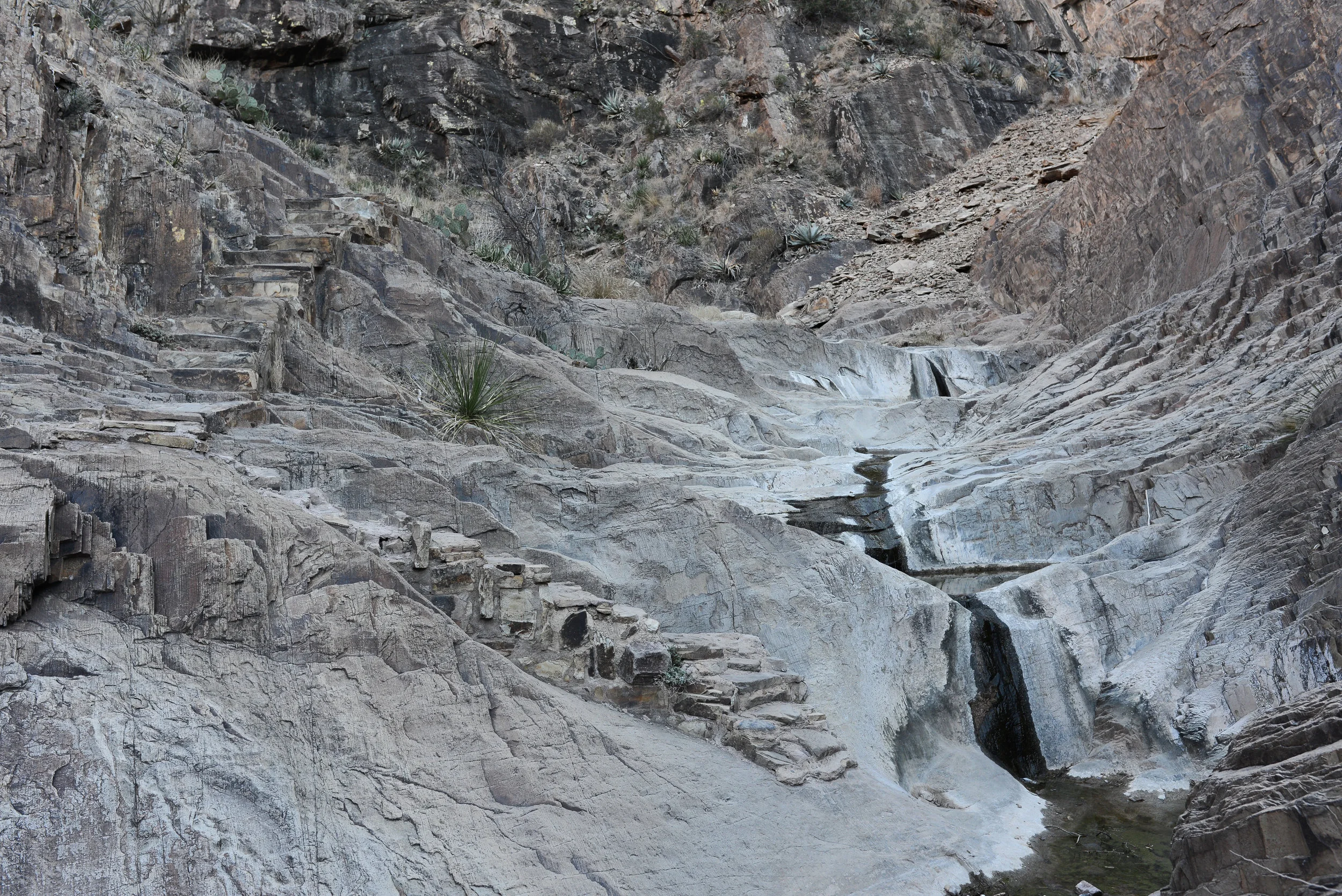 DSC_8328-1.jpg