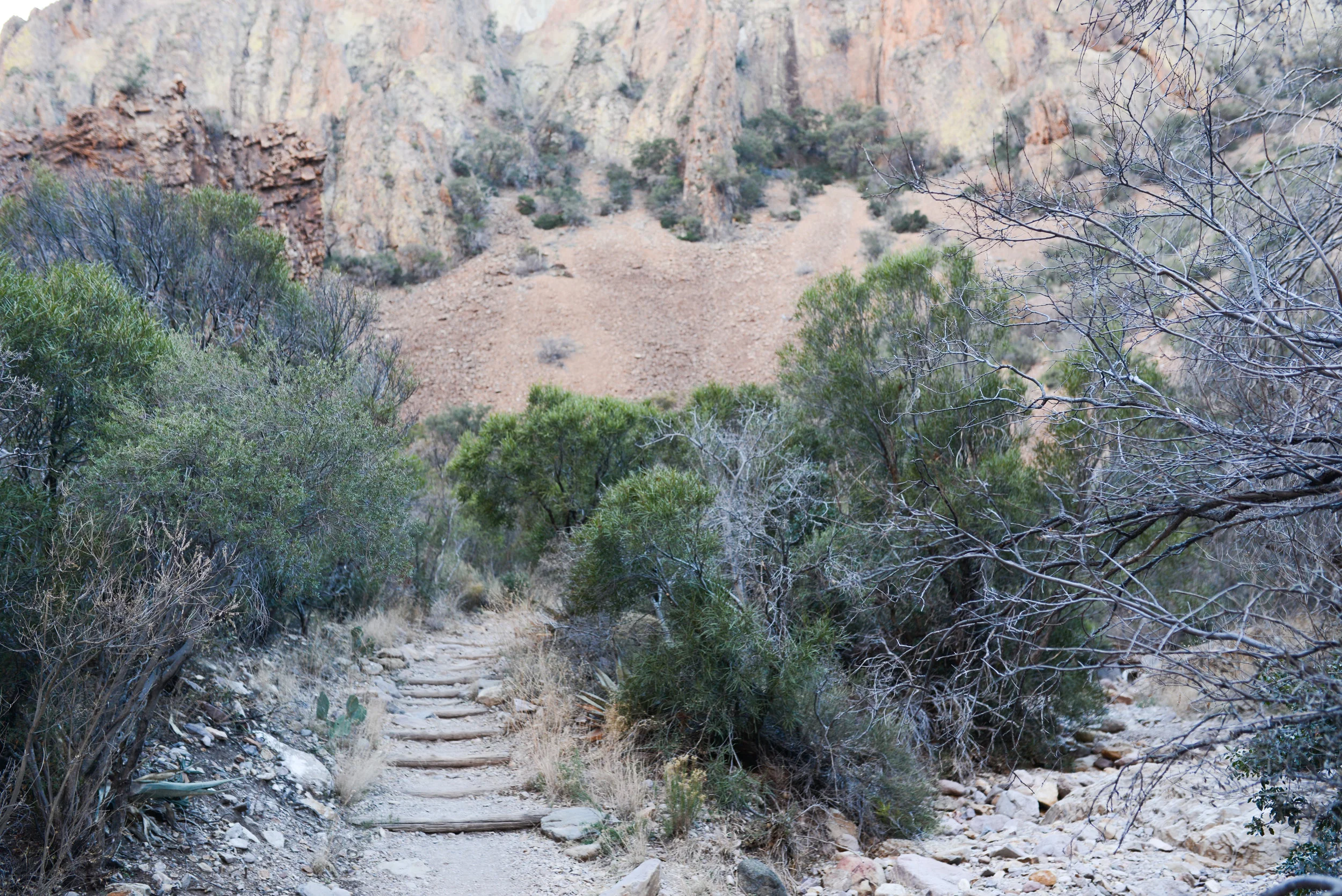 DSC_8357-1.jpg