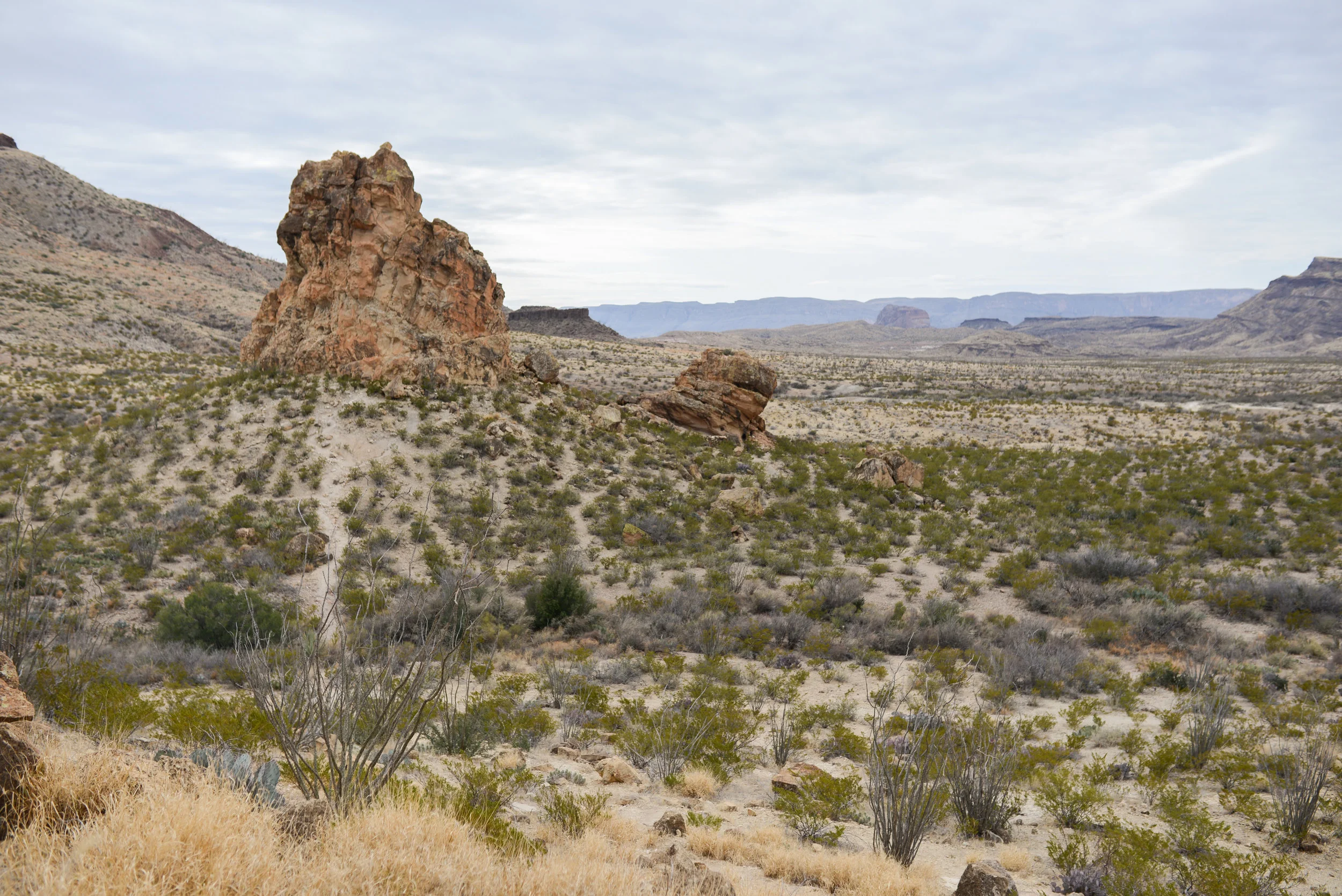 DSC_8439-1.jpg