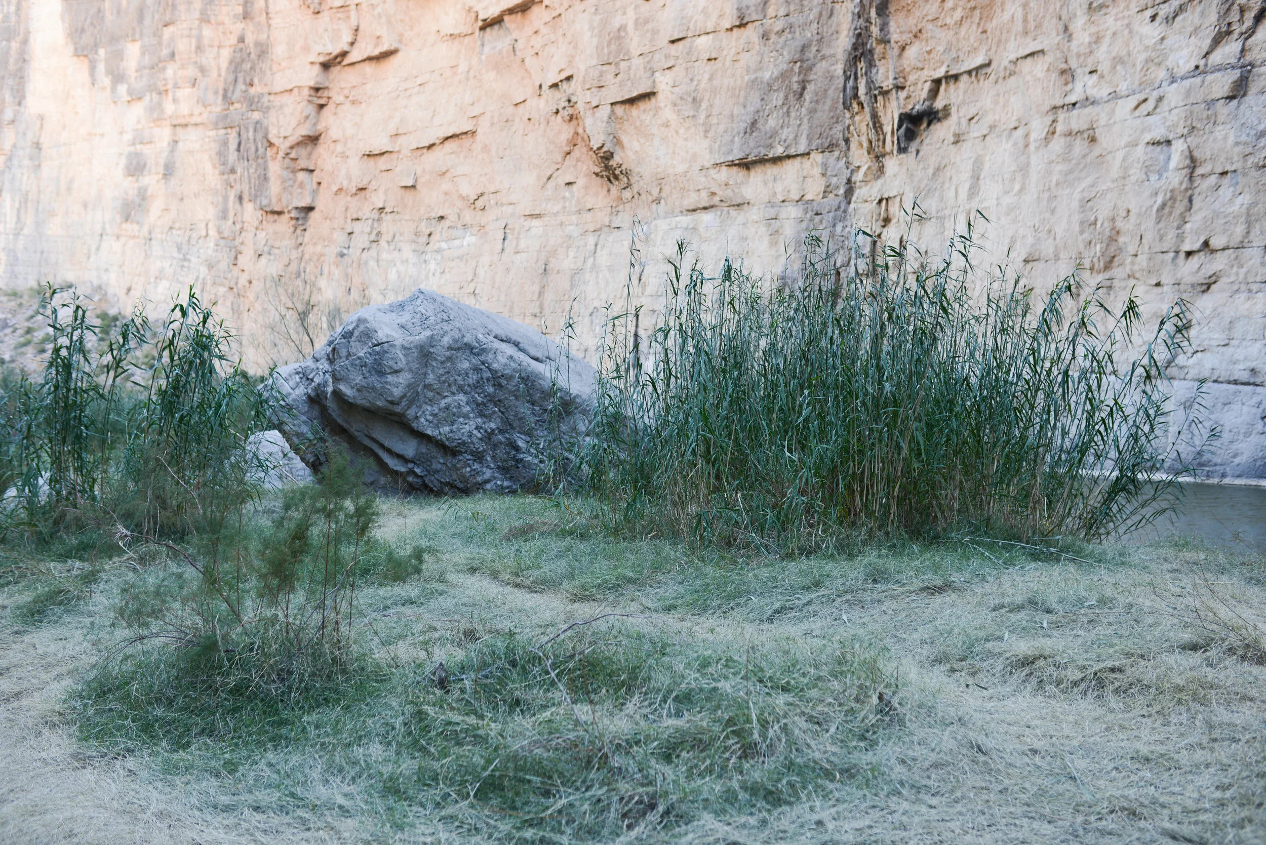 DSC_8504-1.jpg