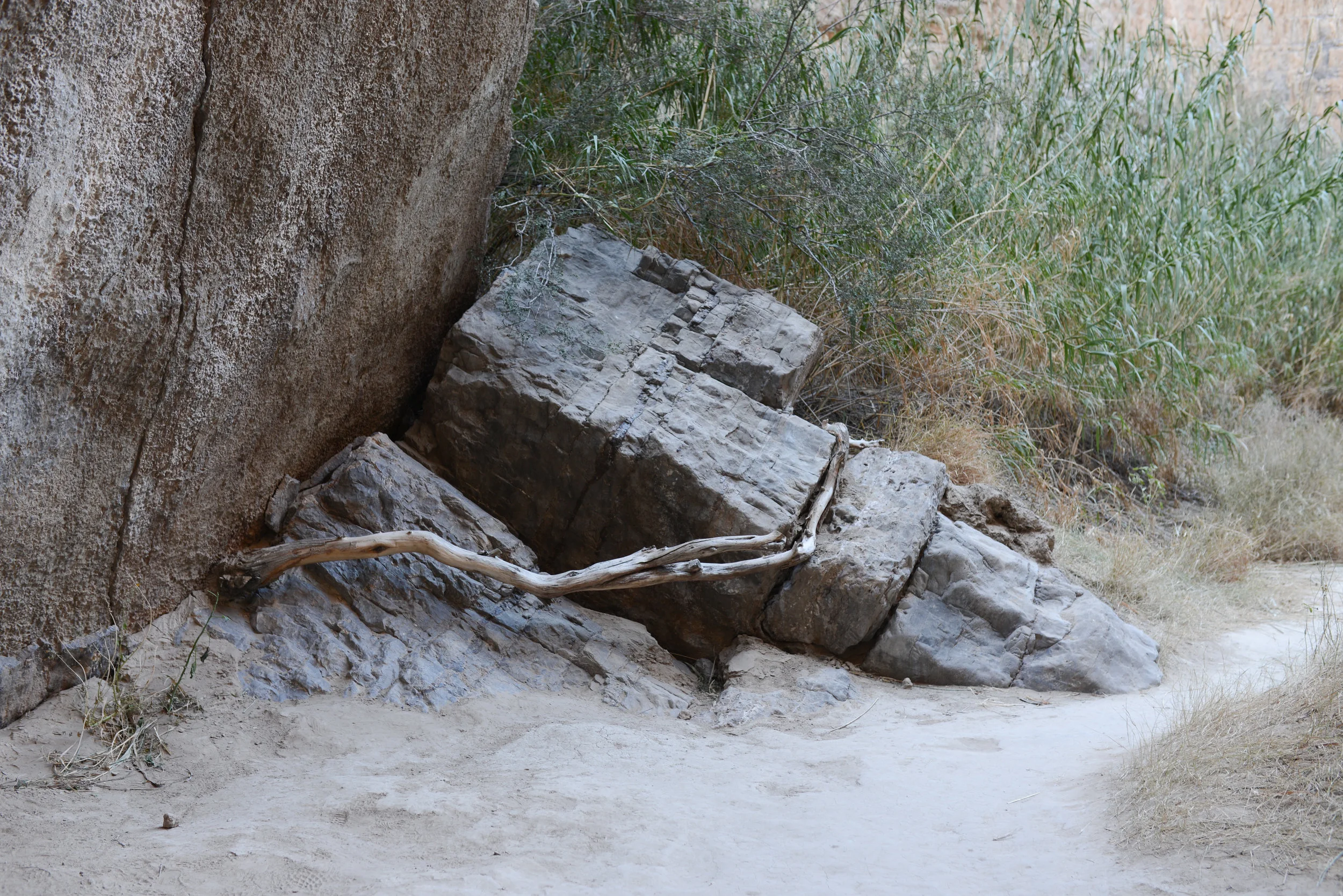 DSC_8510-1.jpg