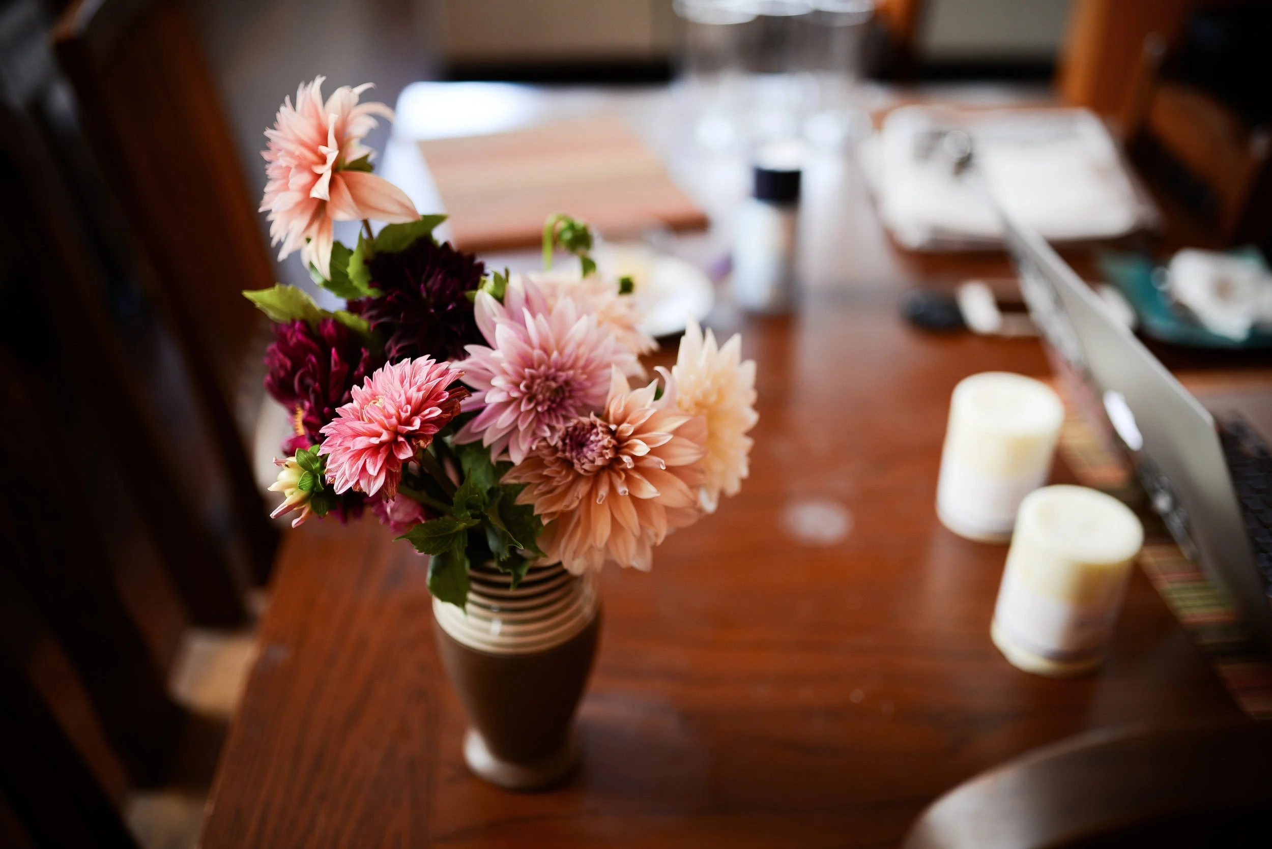 dahlias from the pistil & stamen garden