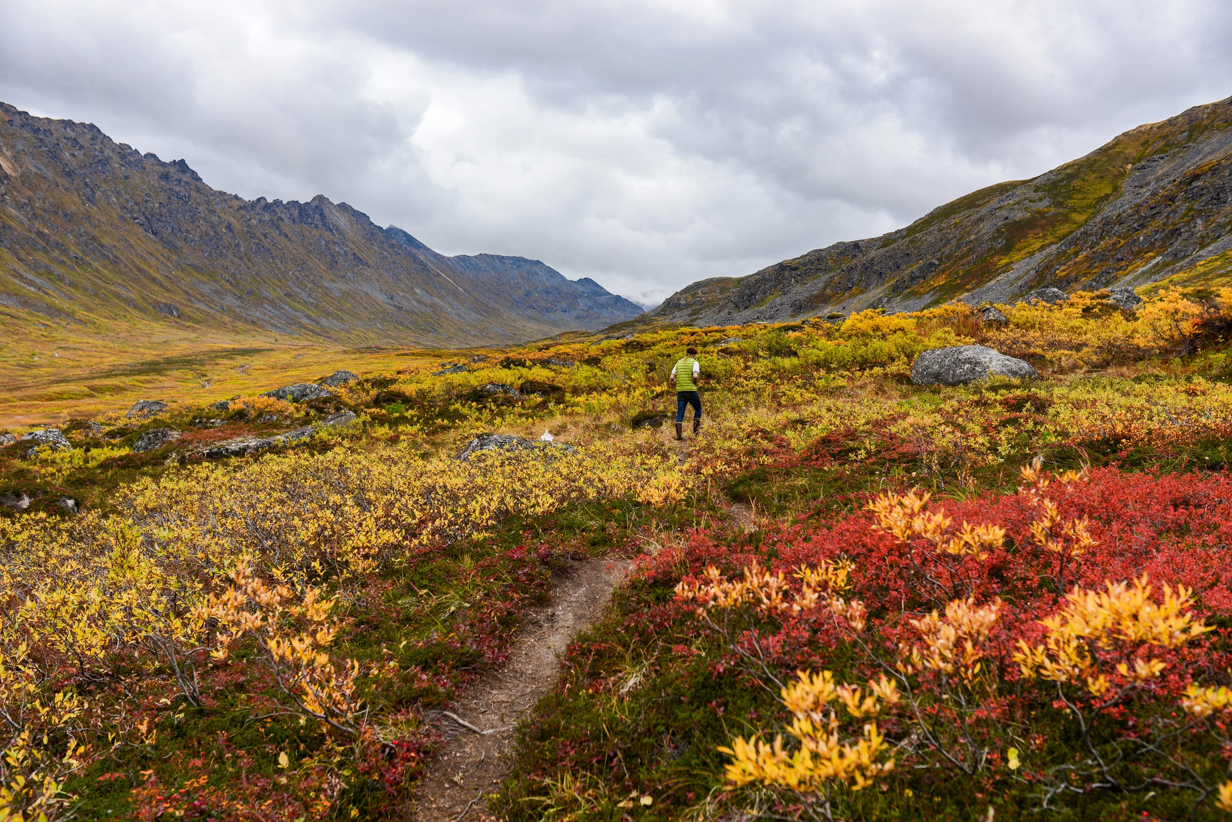 DSC_1607-1.jpg
