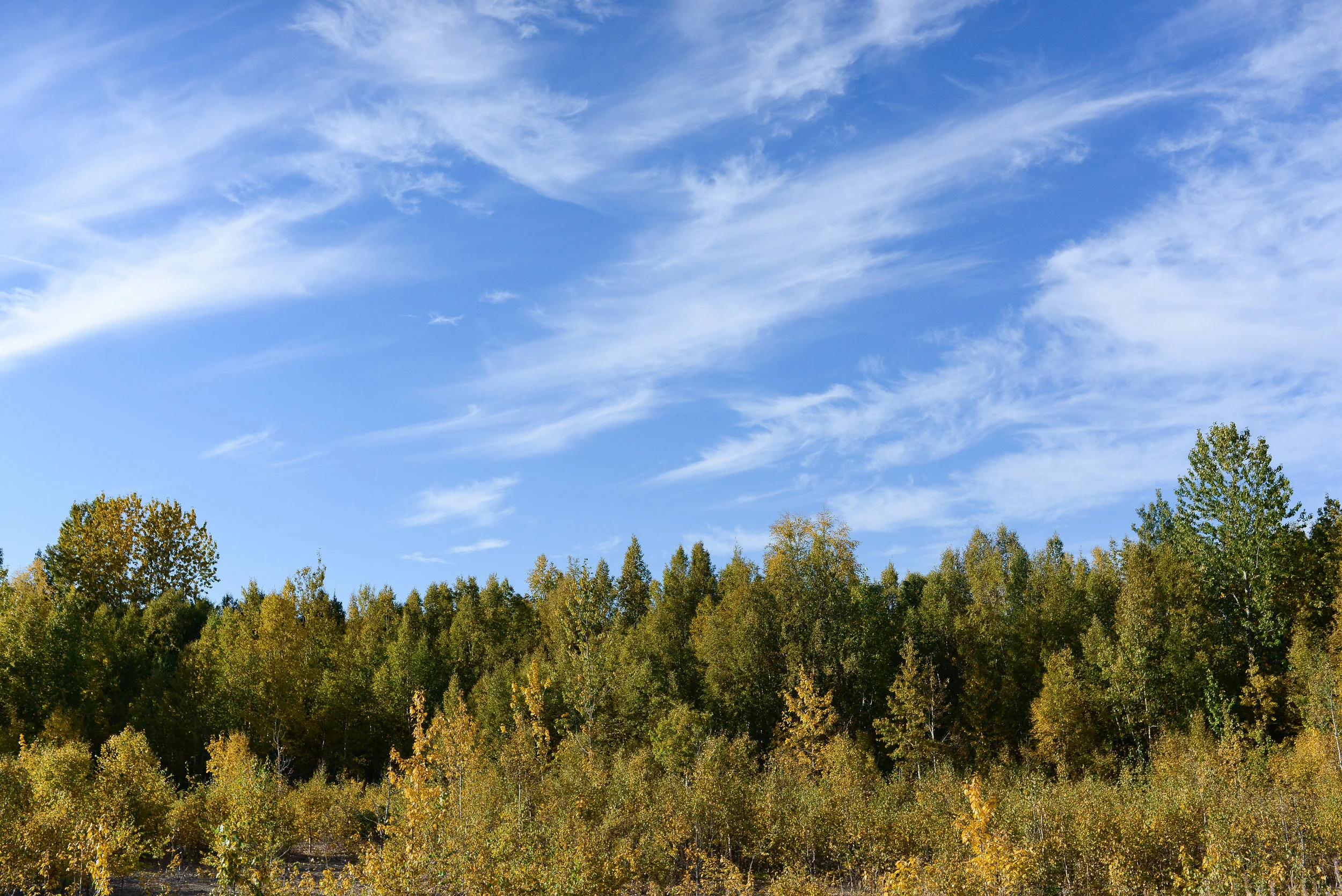 DSC_1548-1-2.jpg