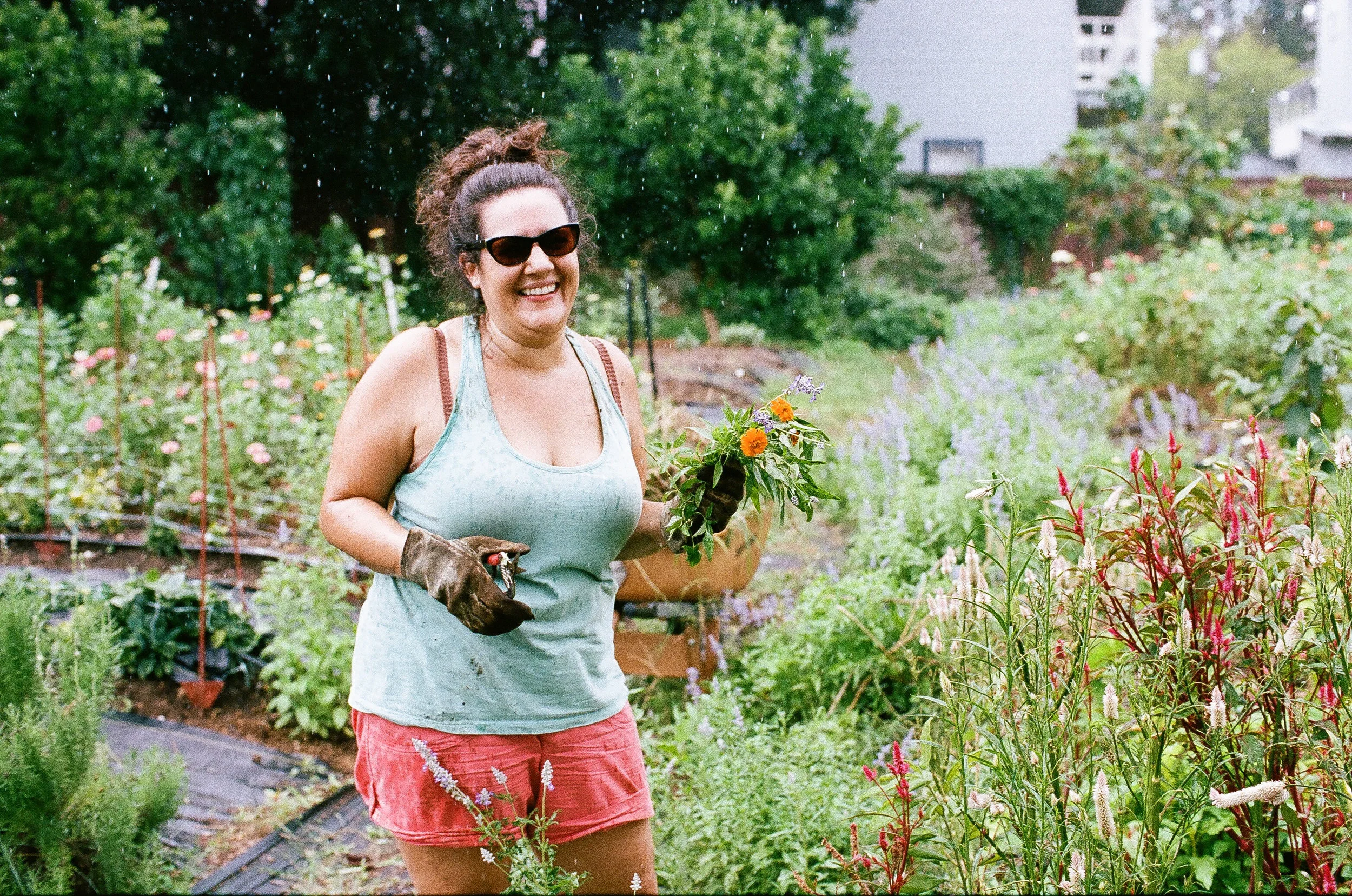 cutting flowers in the rain