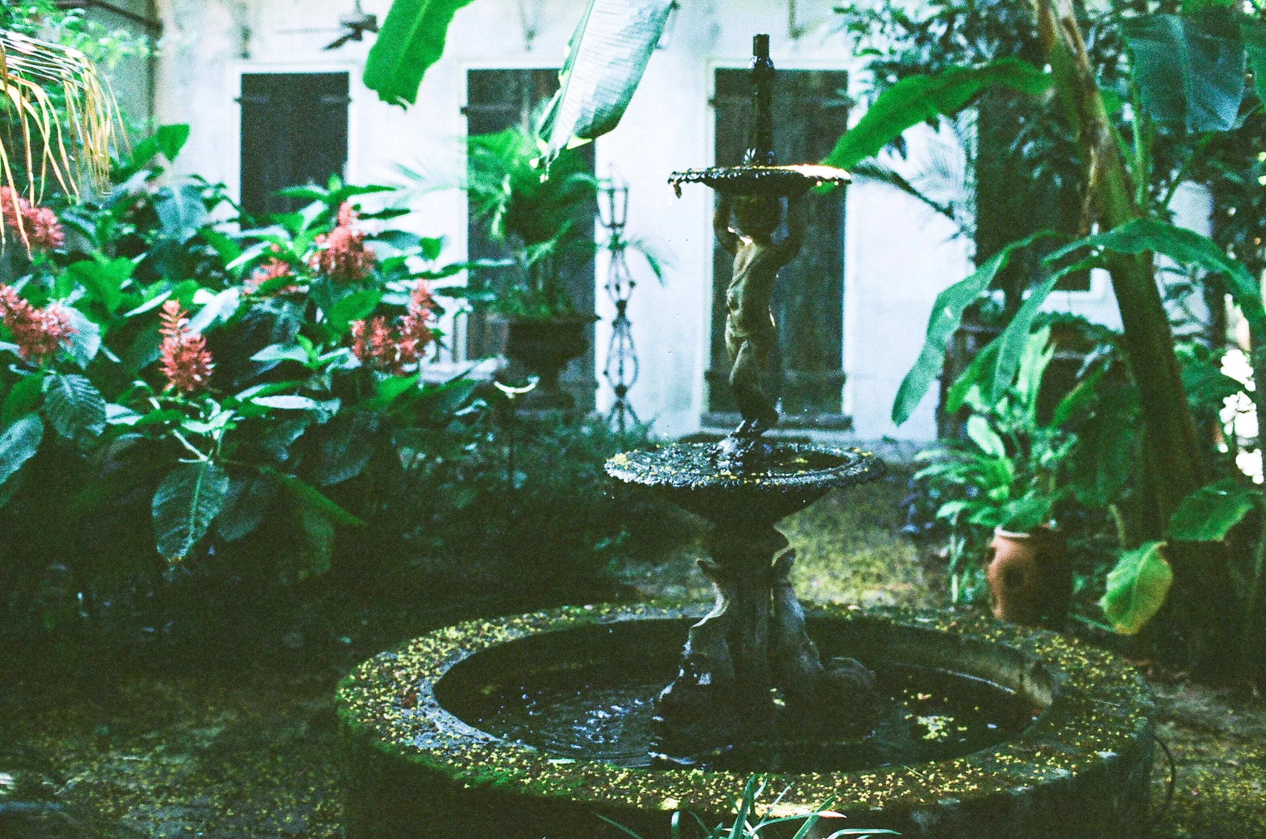 a french quarter garden