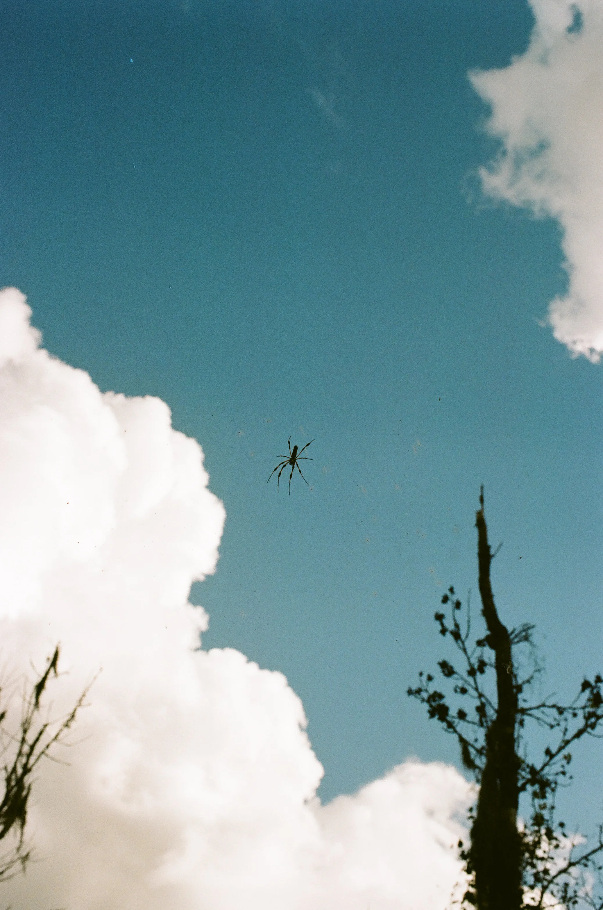 000277530010-10.jpg