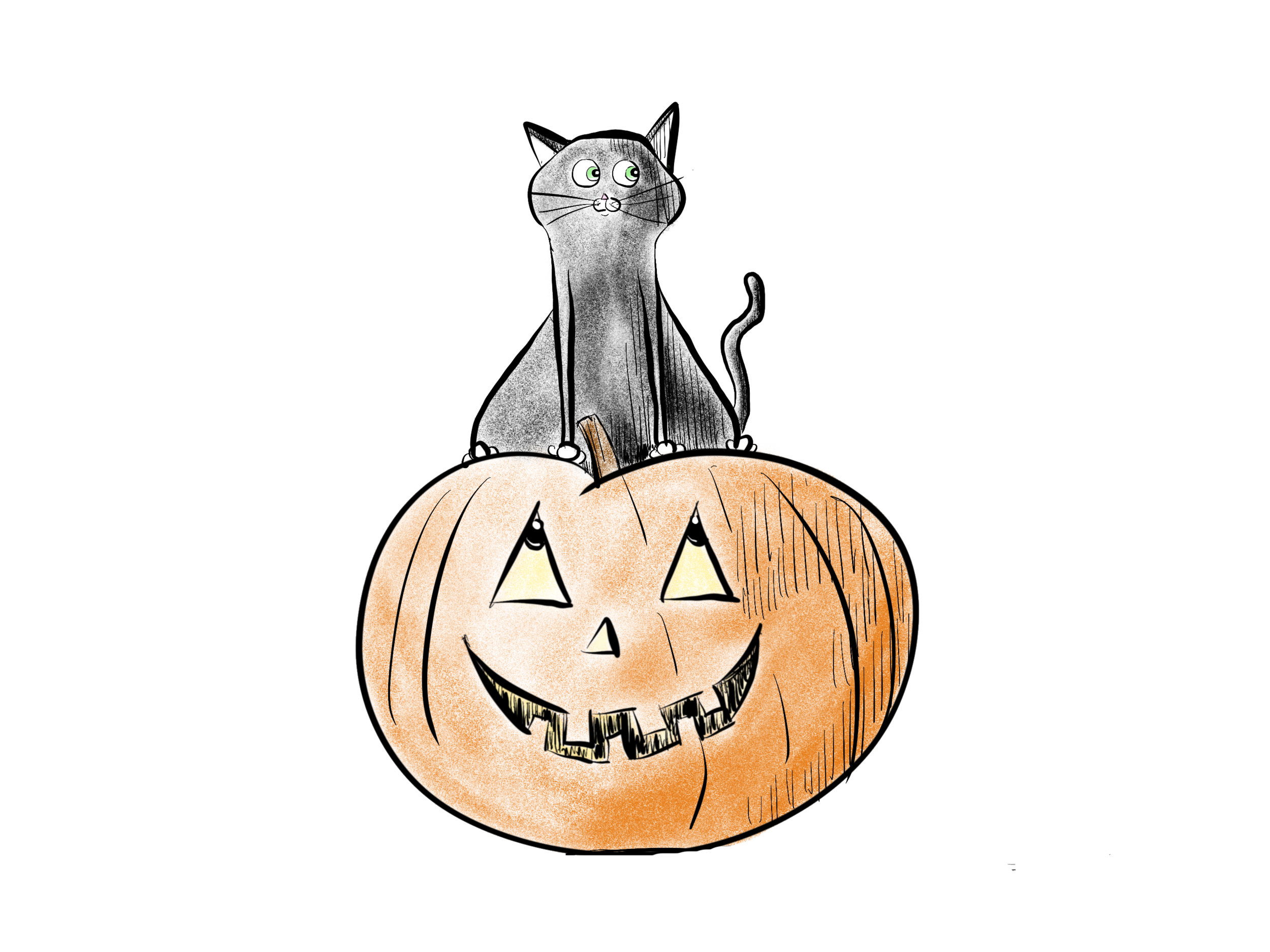 cat on pumpkin white background.png