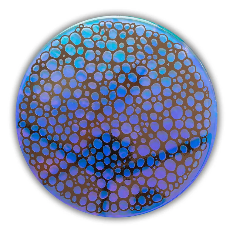 Believe It To Be True