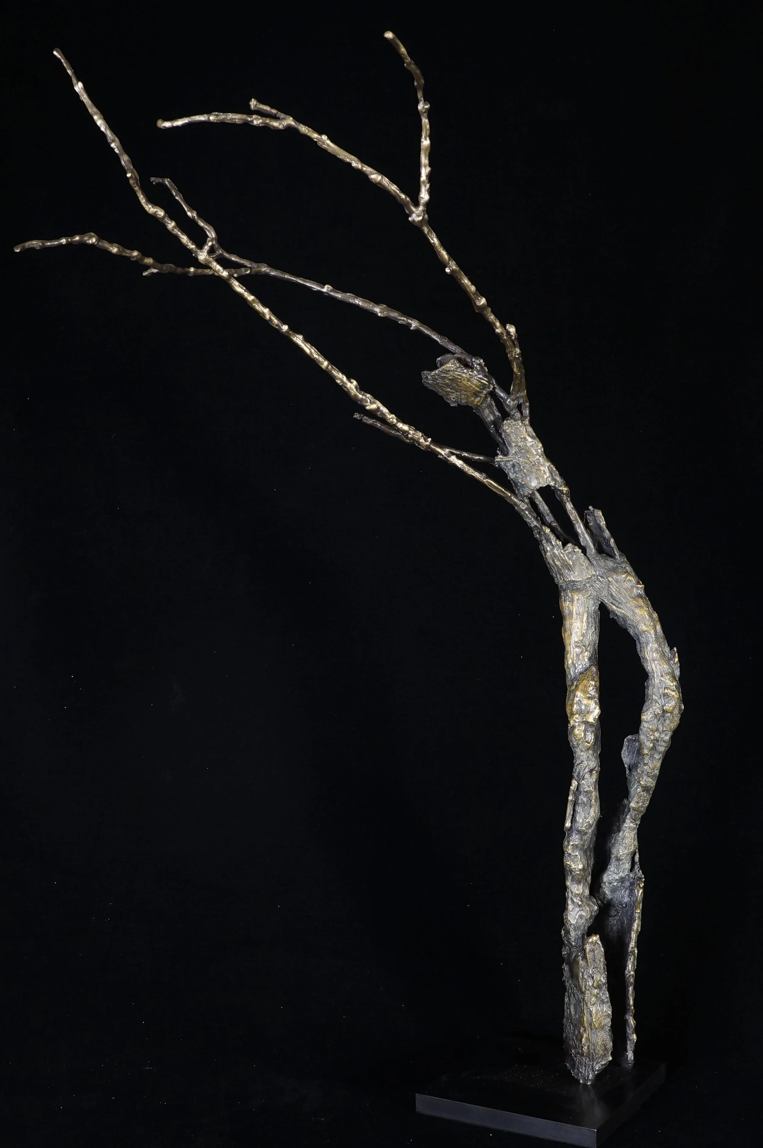 Métamorphose 2