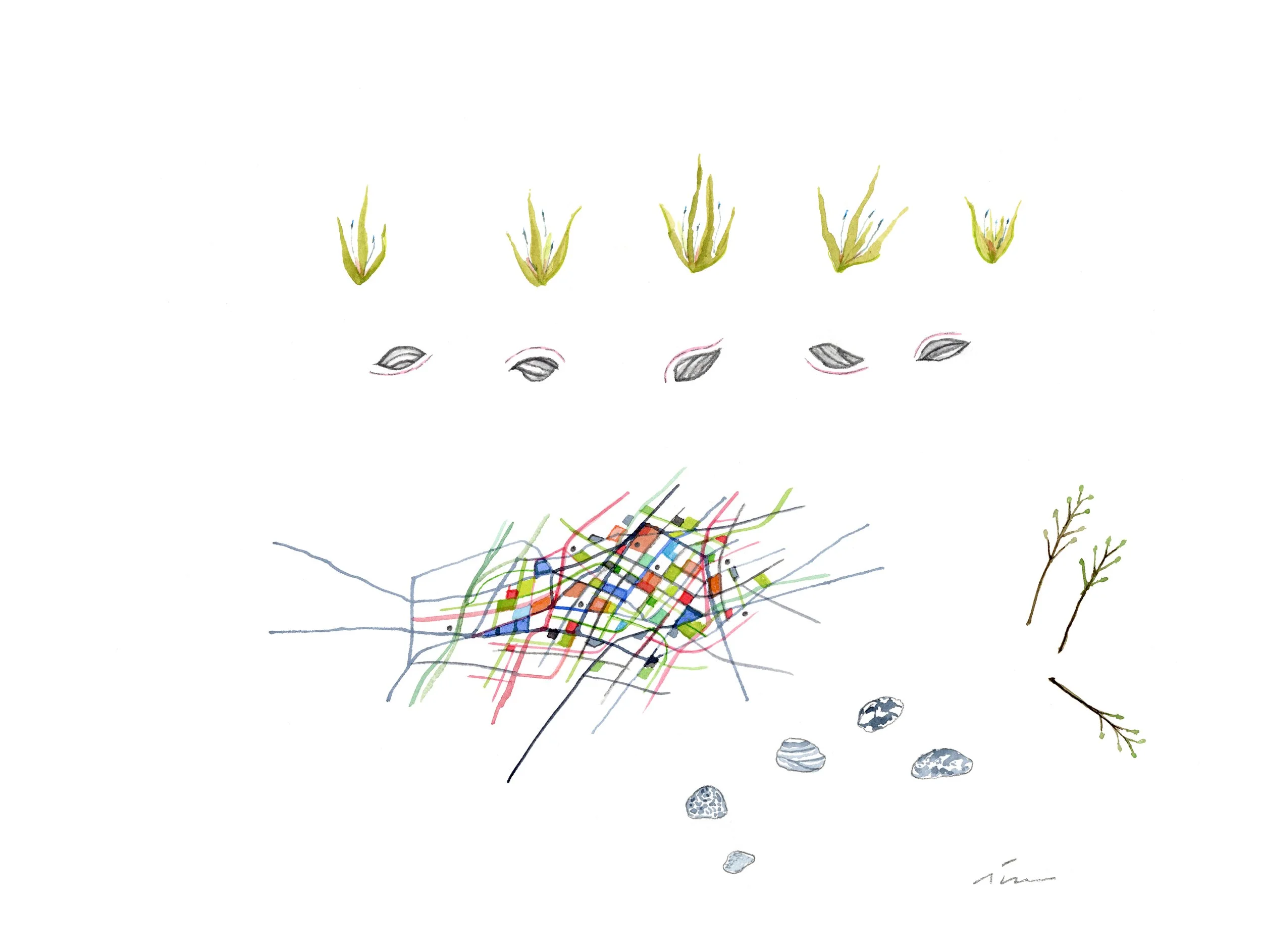 Sequential Collection