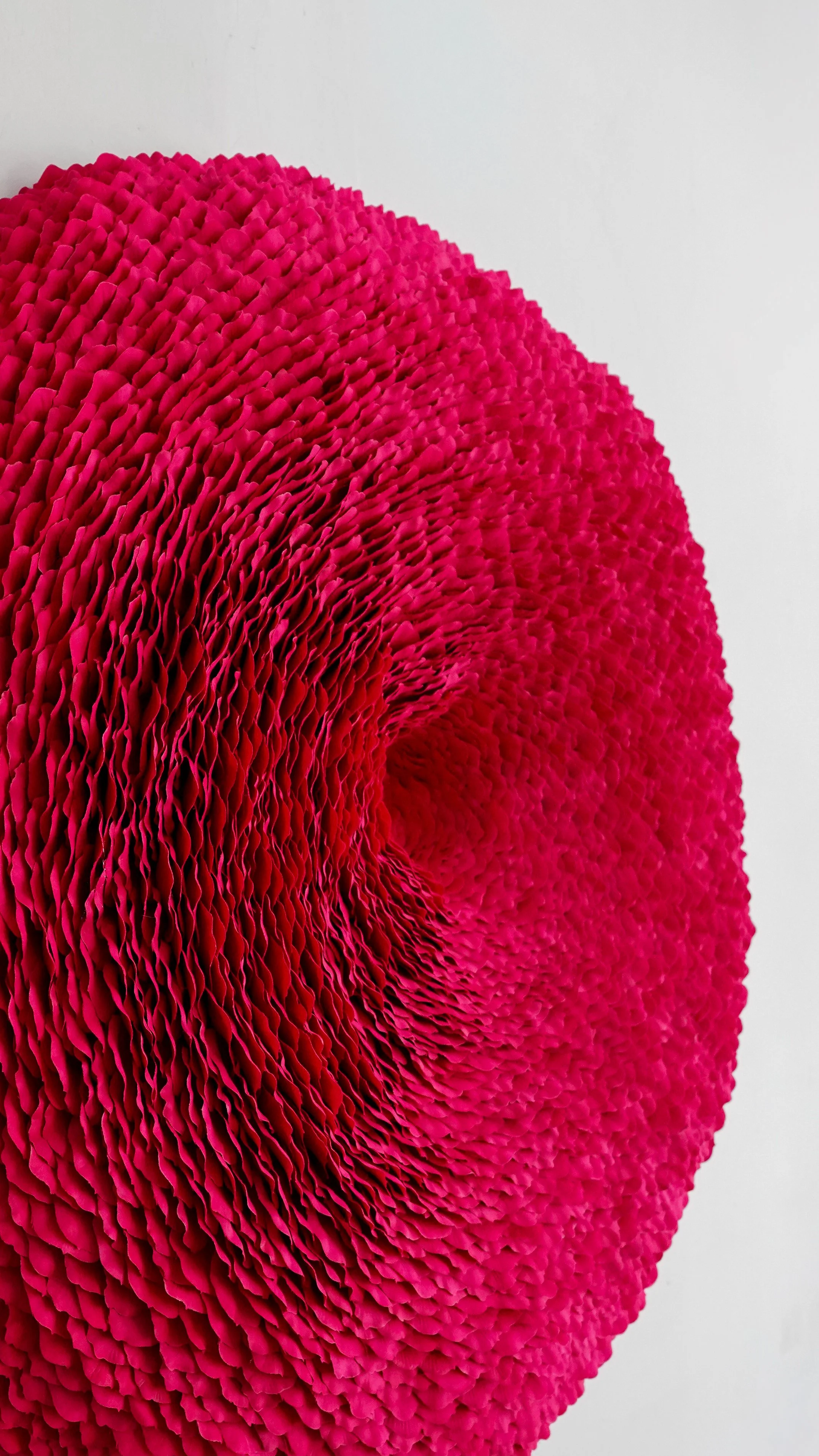 Cerise