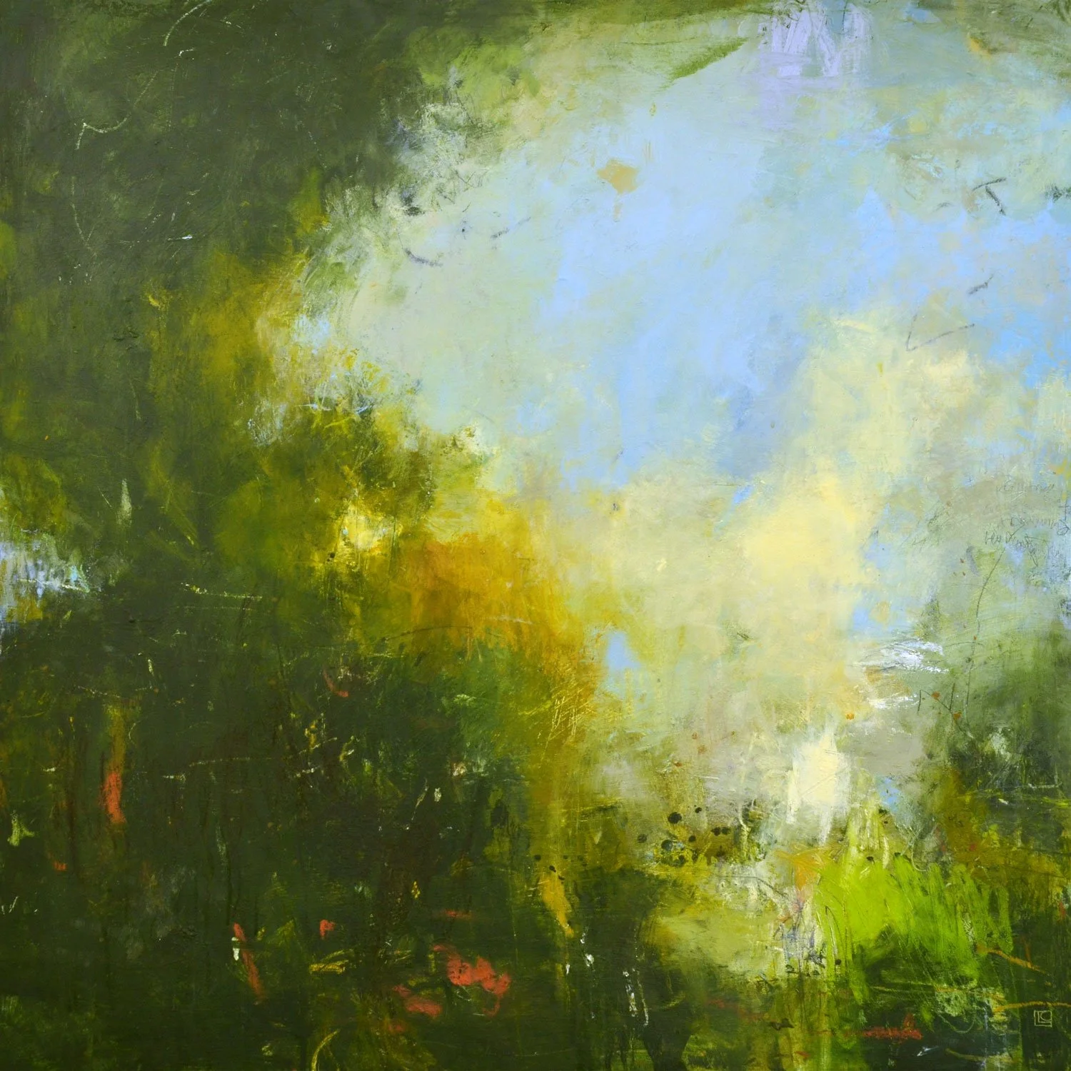 LC 09 Dream Comfort Memory 36x36.jpg