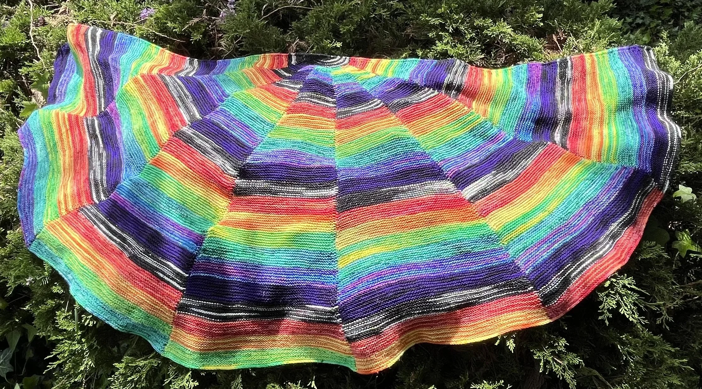 A half circle shawl comprised of seven wedges on a background of greenery. Each wedge has a rainbow stripe pattern offset by one stripe from the next wedge.