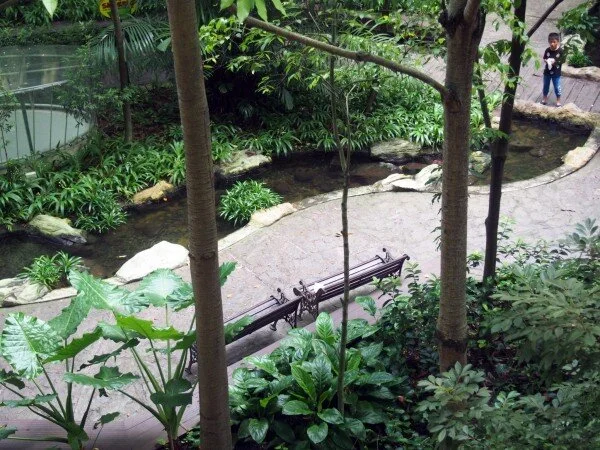 courtyard-forest-Khoo-Teck-Puat-Hospital-min-600x450.jpg