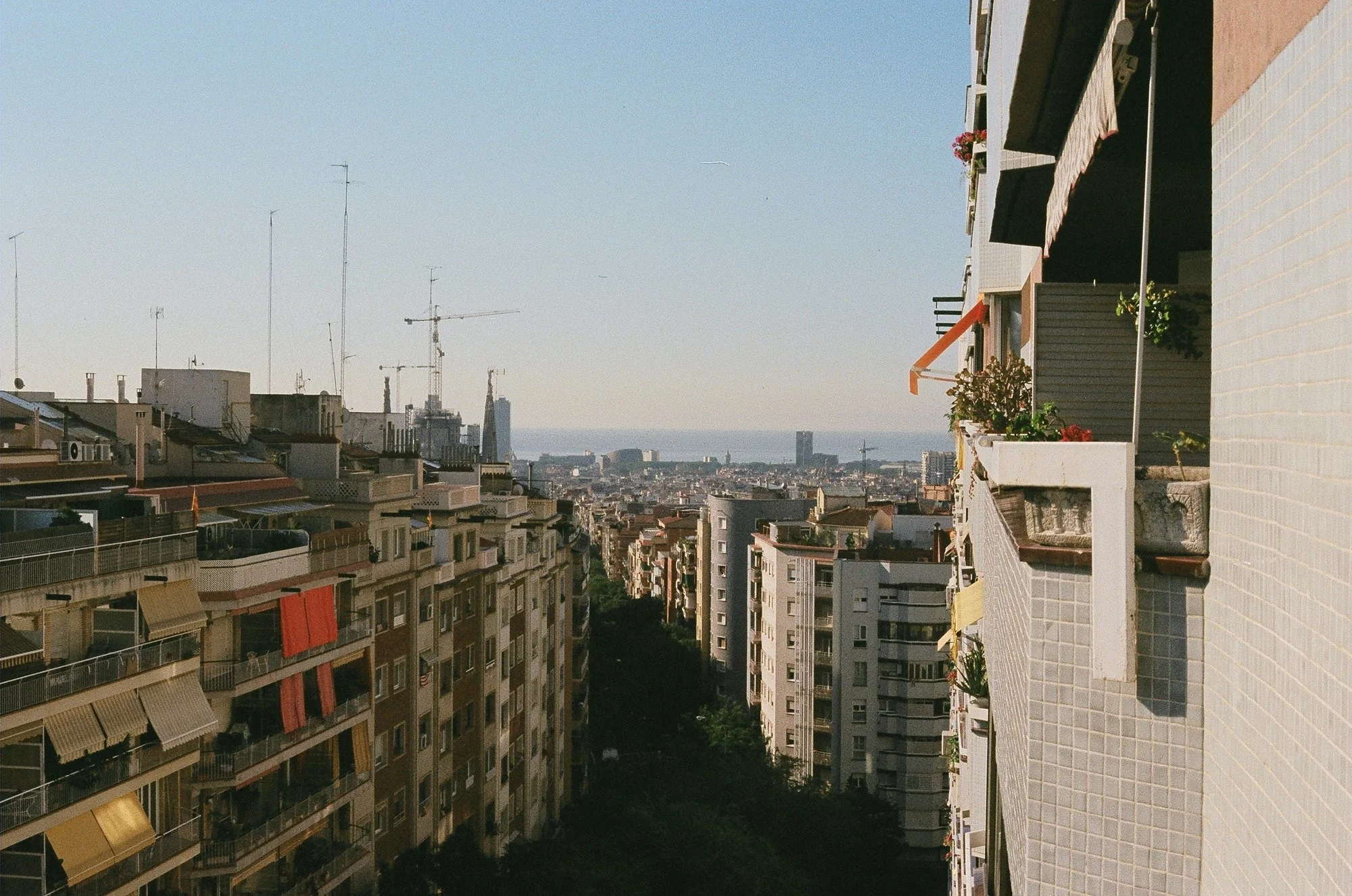 56170006.JPG